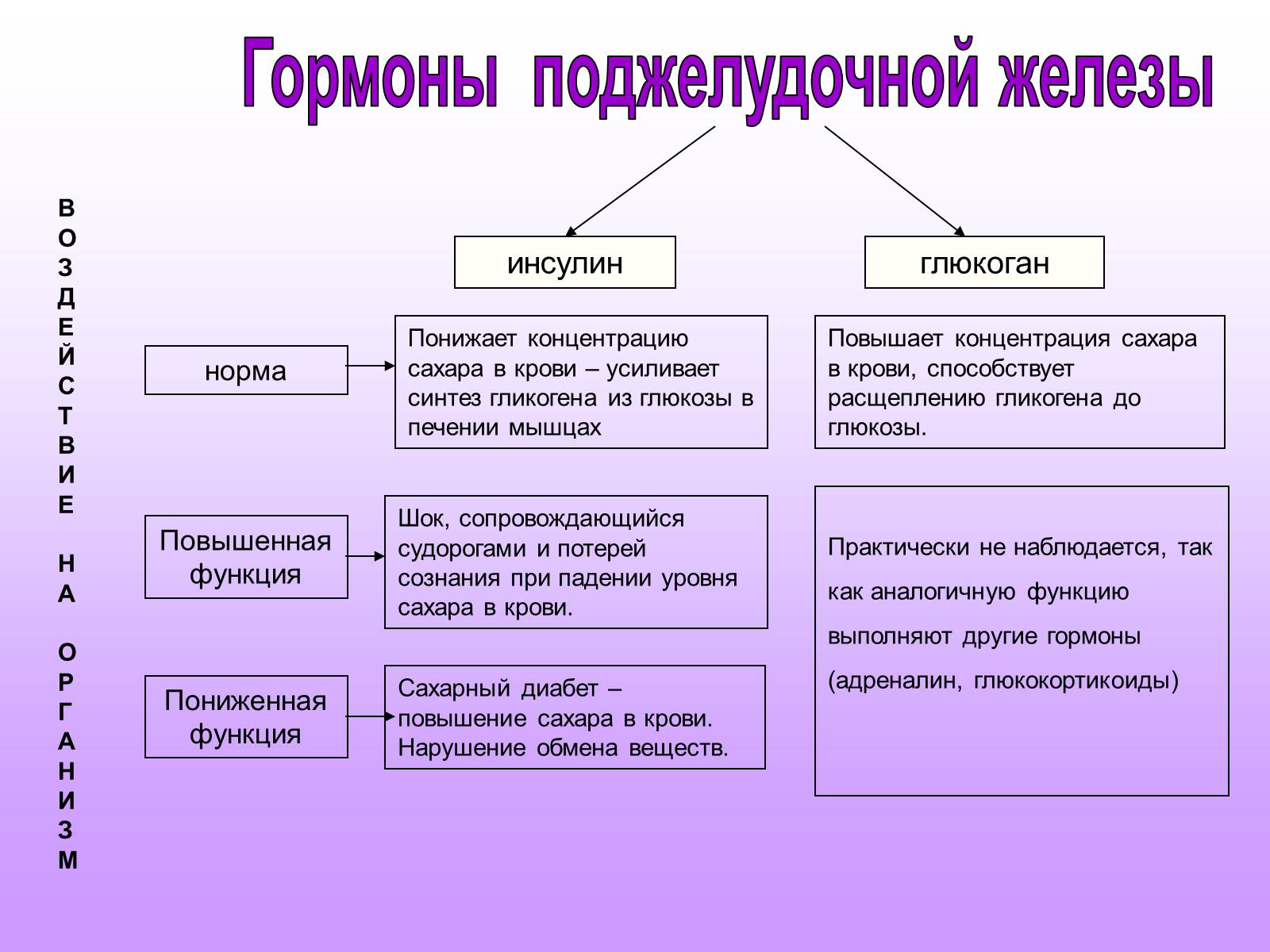 Презентація на тему «Железы внутренней секреции» (варіант 2) - Слайд #27 Презентація на тему «Железы внутренней секреции» (варіант 2) - Слайд #27