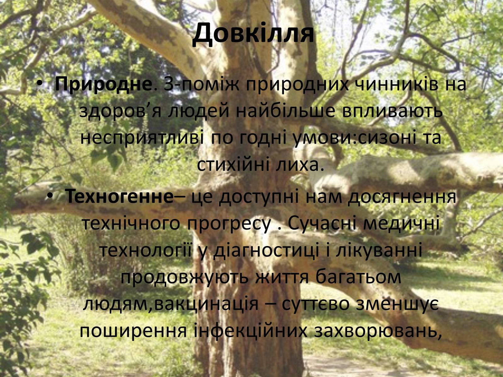 Презентація на тему «Здоровий спосіб життя» (варіант 5) - Слайд #21 Презентація на тему «Здоровий спосіб життя» (варіант 5) - Слайд #21