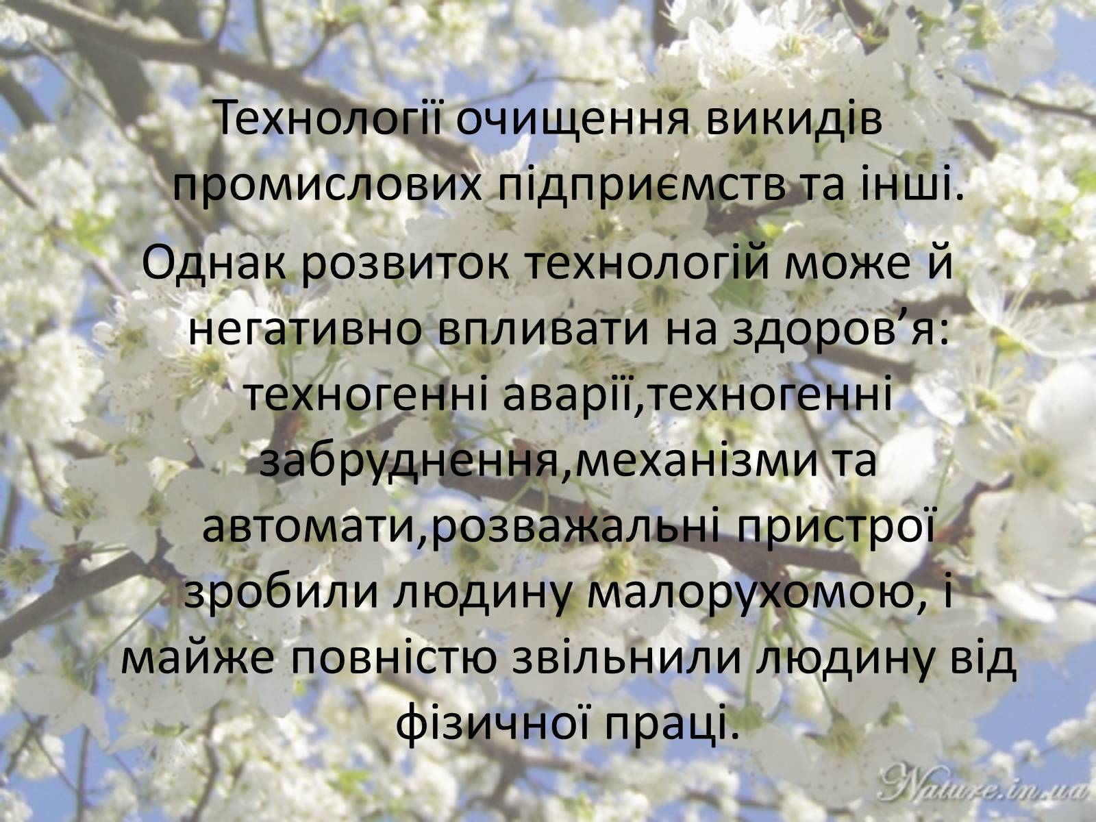 Презентація на тему «Здоровий спосіб життя» (варіант 5) - Слайд #22 Презентація на тему «Здоровий спосіб життя» (варіант 5) - Слайд #22