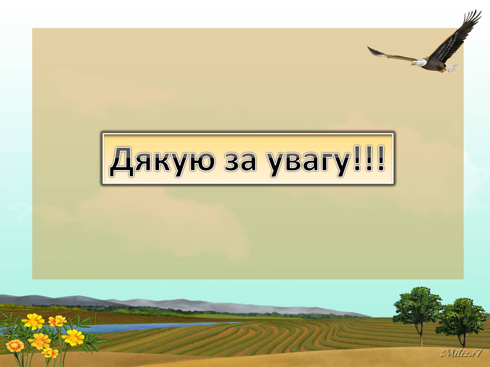 Презентація на тему «Птахи занесені в Червону книгу України» - Слайд #17 Презентація на тему «Птахи занесені в Червону книгу України» - Слайд #17