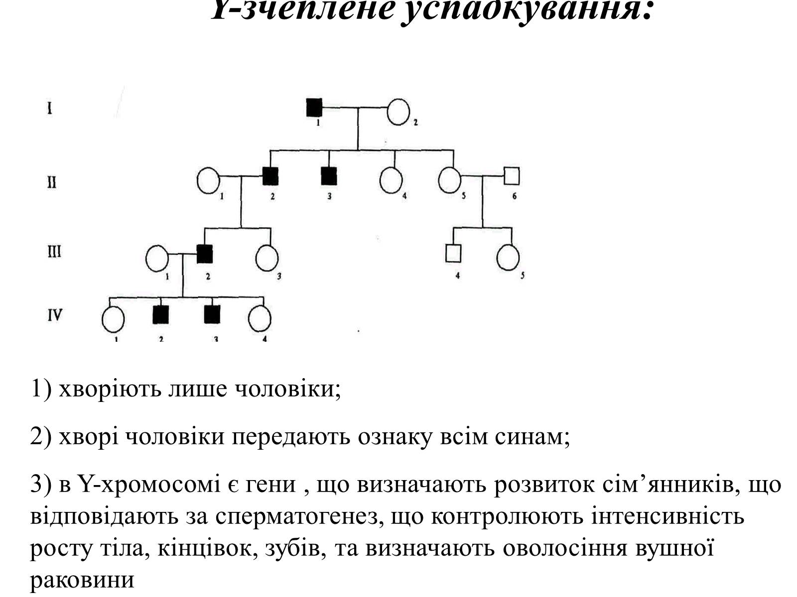 Презентація на тему «Успадкування статі та ознак, зчеплених зі статтю» - Слайд #29 Презентація на тему «Успадкування статі та ознак, зчеплених зі статтю» - Слайд #29