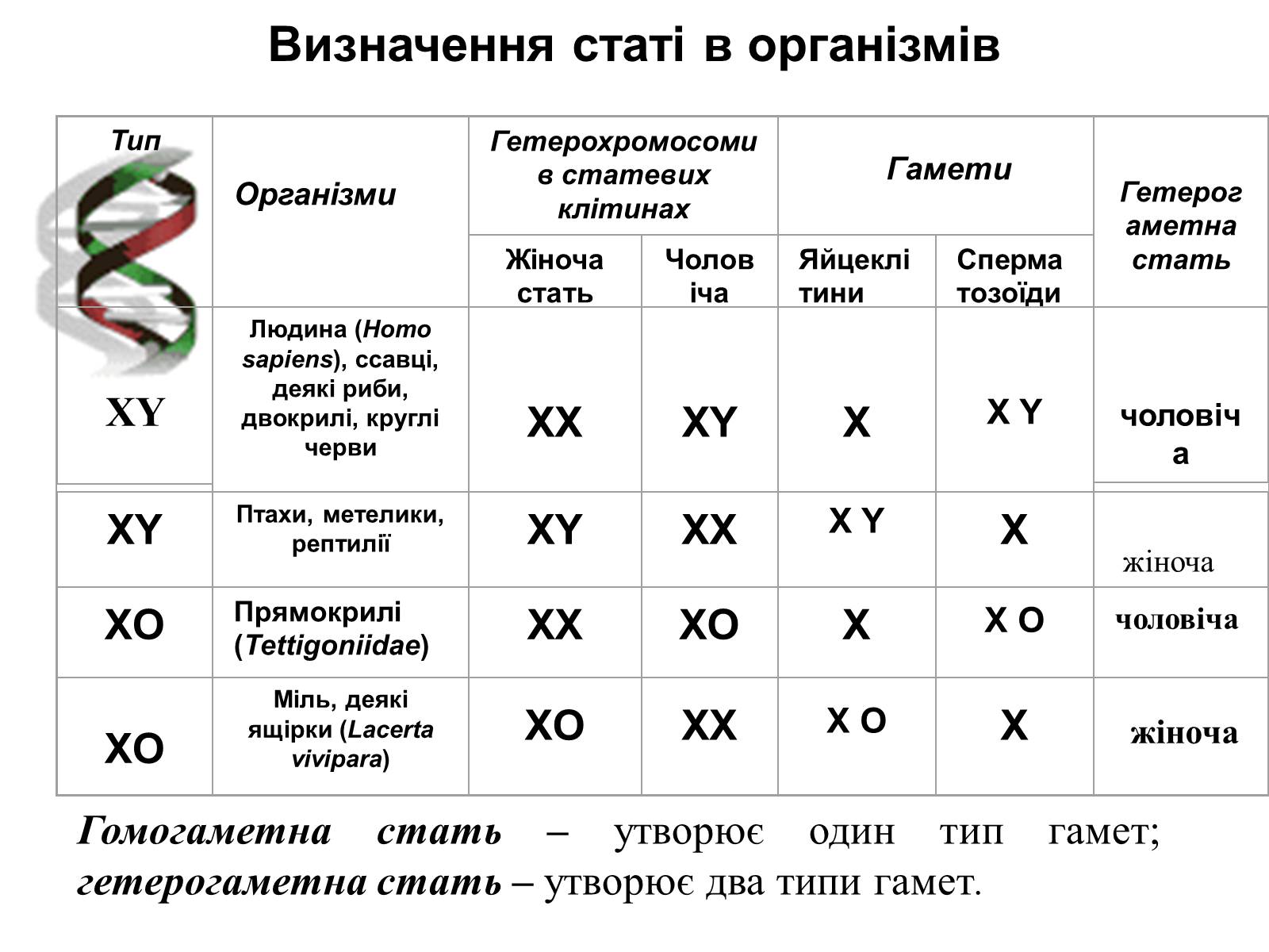 Презентація на тему «Успадкування статі та ознак, зчеплених зі статтю» - Слайд #9 Презентація на тему «Успадкування статі та ознак, зчеплених зі статтю» - Слайд #9