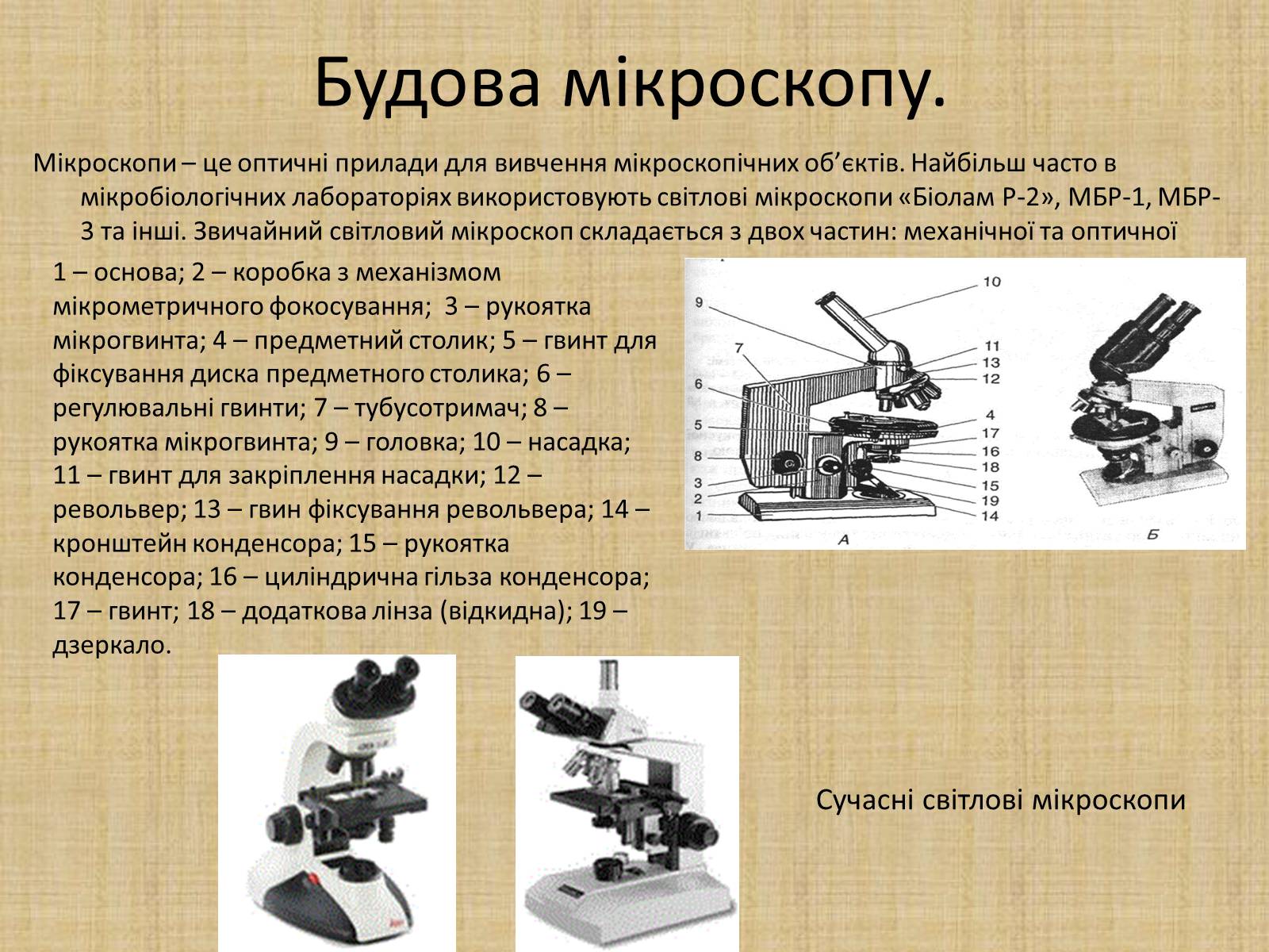 Презентація на тему «Історія виникнення клітин. Методи цитологічних досліджень» - Слайд #5 Презентація на тему «Історія виникнення клітин. Методи цитологічних досліджень» - Слайд #5