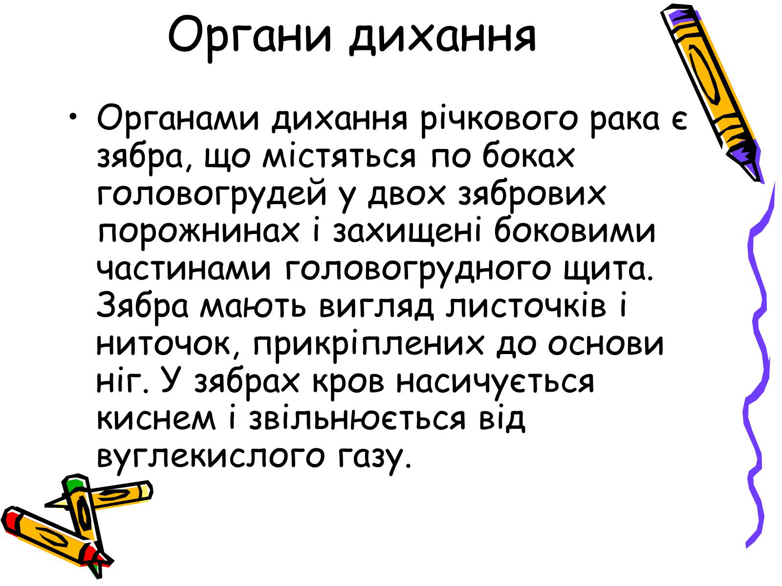 Презентація на тему «Ракоподібні» (варіант 2) - Слайд #11 Презентація на тему «Ракоподібні» (варіант 2) - Слайд #11