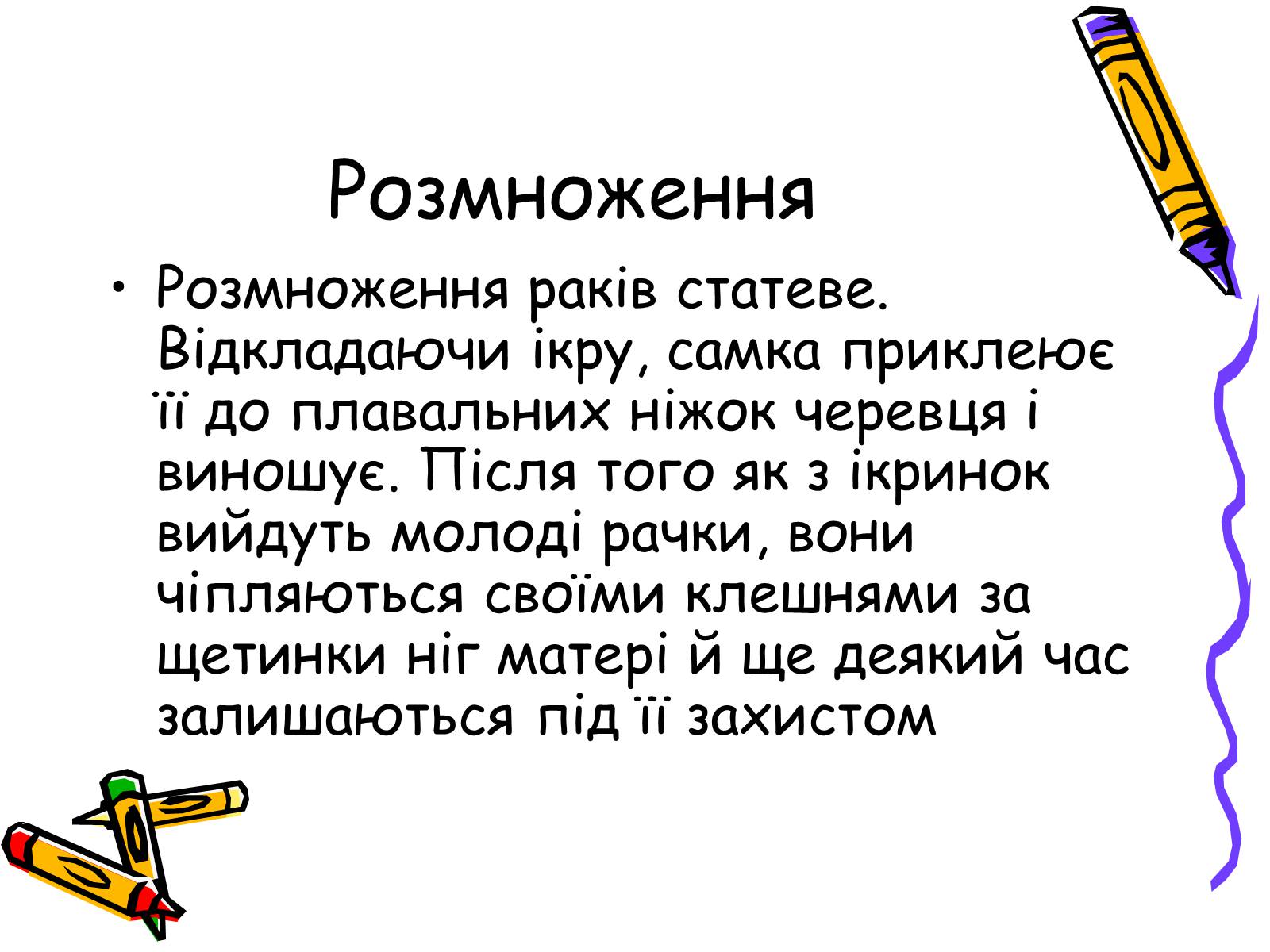 Презентація на тему «Ракоподібні» (варіант 2) - Слайд #21 Презентація на тему «Ракоподібні» (варіант 2) - Слайд #21