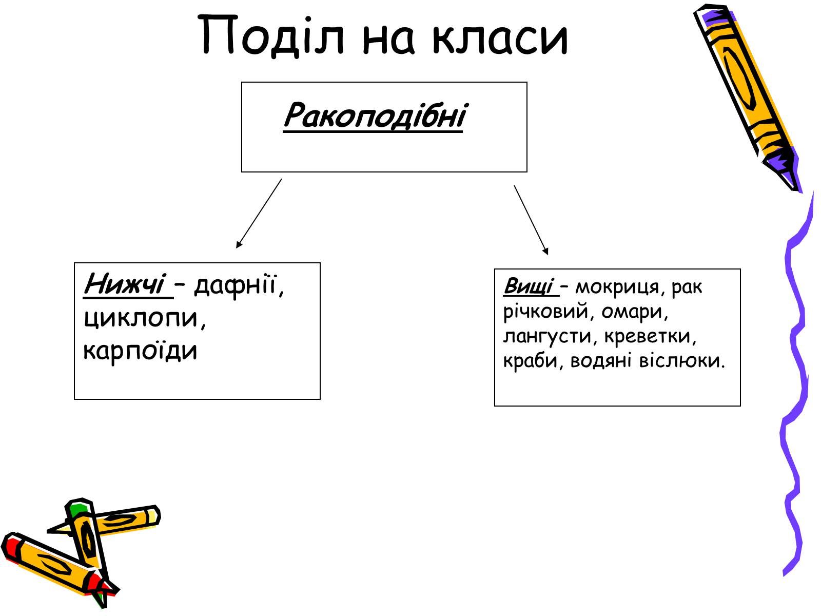Презентація на тему «Ракоподібні» (варіант 2) - Слайд #24 Презентація на тему «Ракоподібні» (варіант 2) - Слайд #24