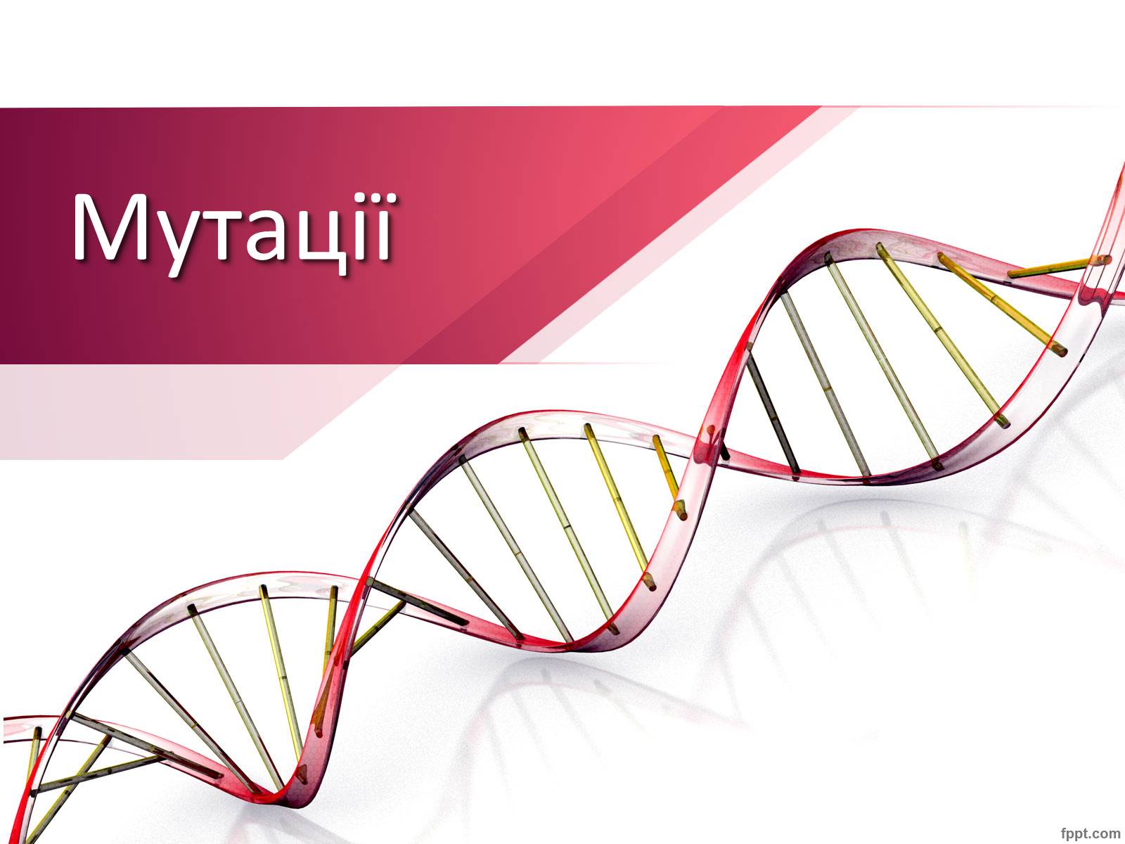 Презентація на тему «Мутації» (варіант 7) - Слайд #1 Презентація на тему «Мутації» (варіант 7) - Слайд #1