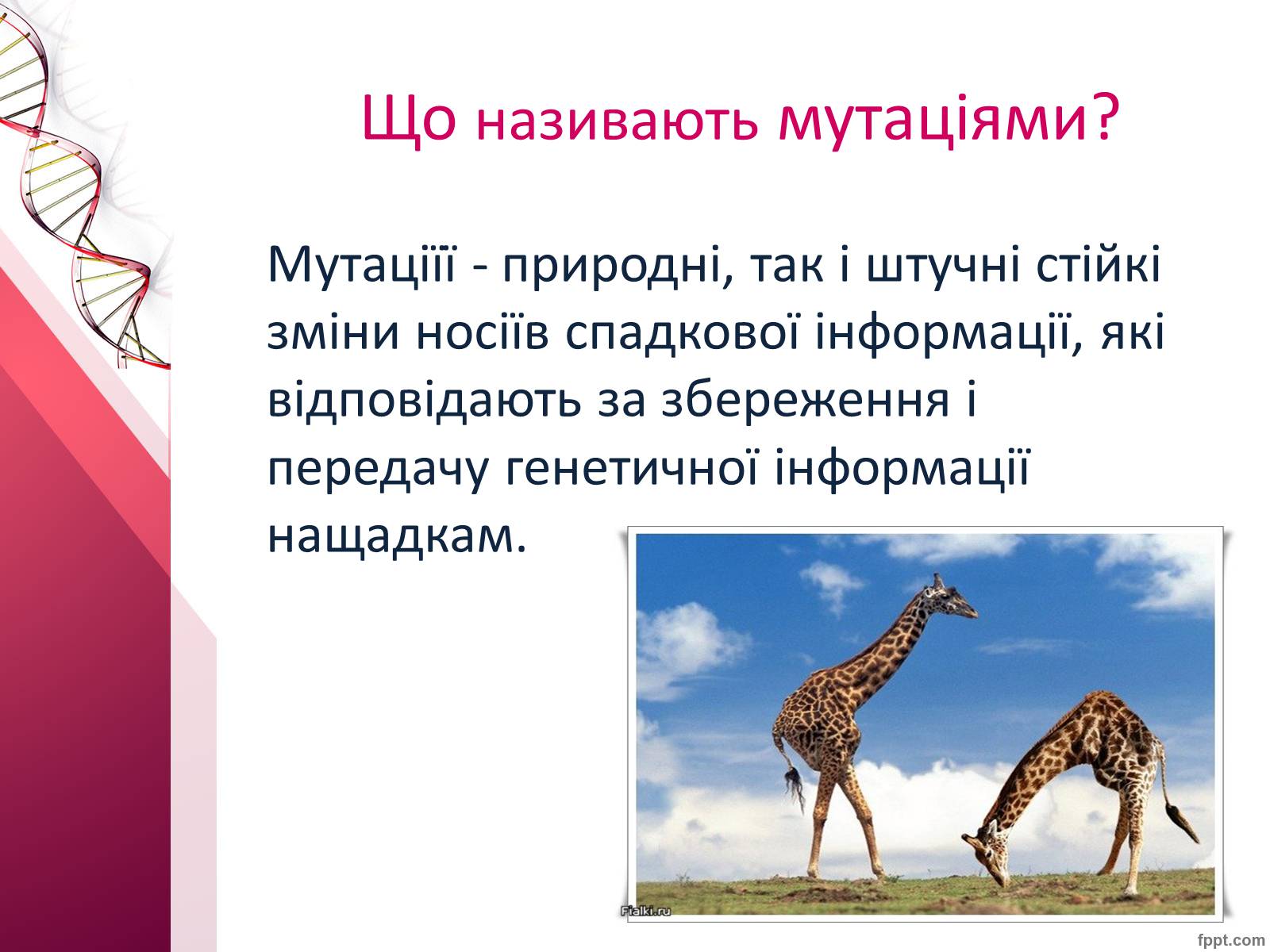 Презентація на тему «Мутації» (варіант 7) - Слайд #2 Презентація на тему «Мутації» (варіант 7) - Слайд #2