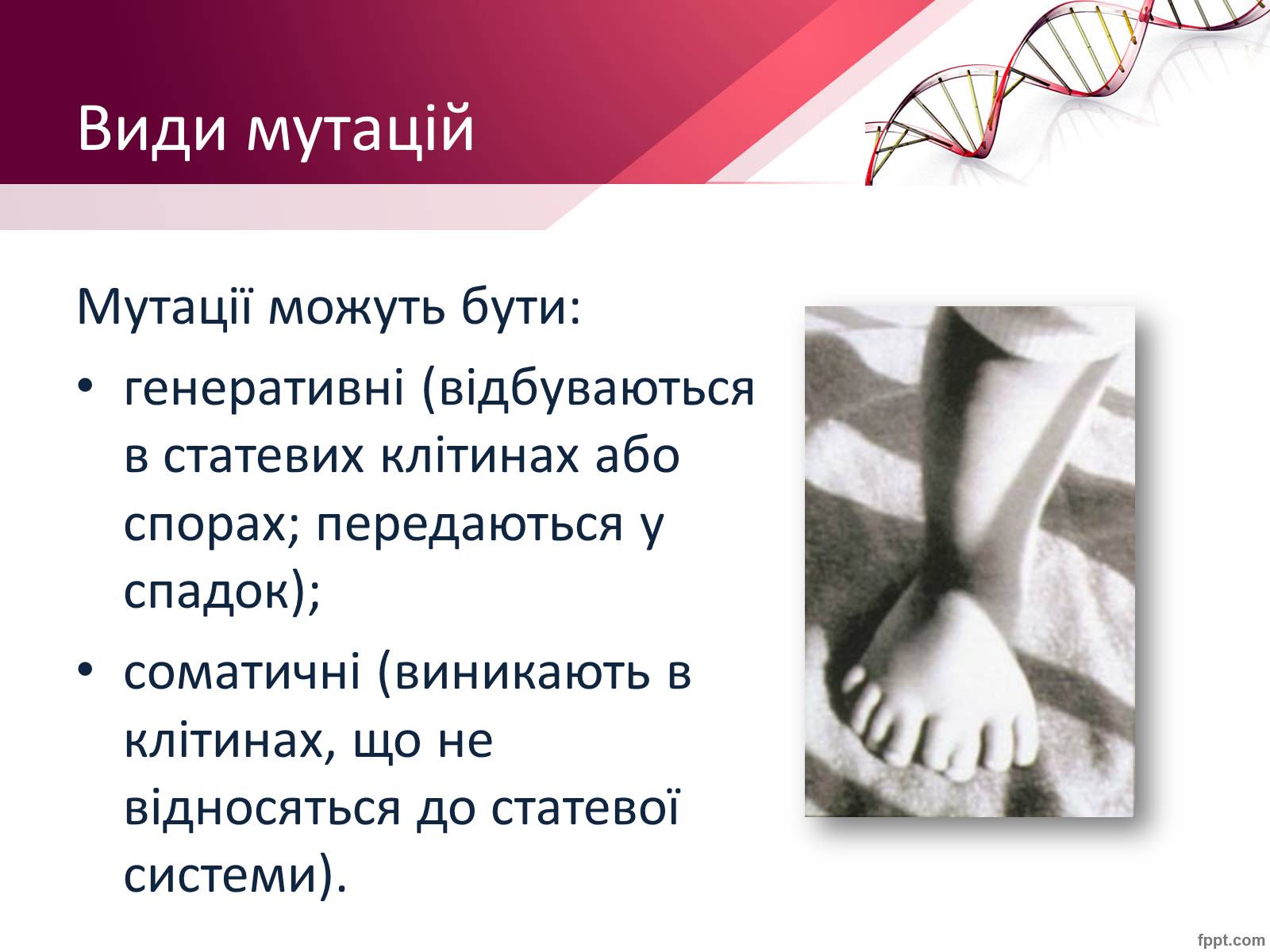 Презентація на тему «Мутації» (варіант 7) - Слайд #3 Презентація на тему «Мутації» (варіант 7) - Слайд #3