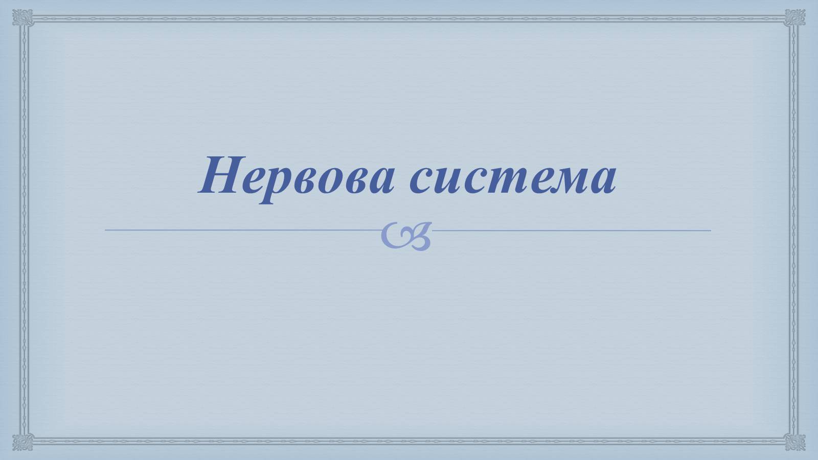 Презентація на тему «Системи людського організму» - Слайд #12 Презентація на тему «Системи людського організму» - Слайд #12