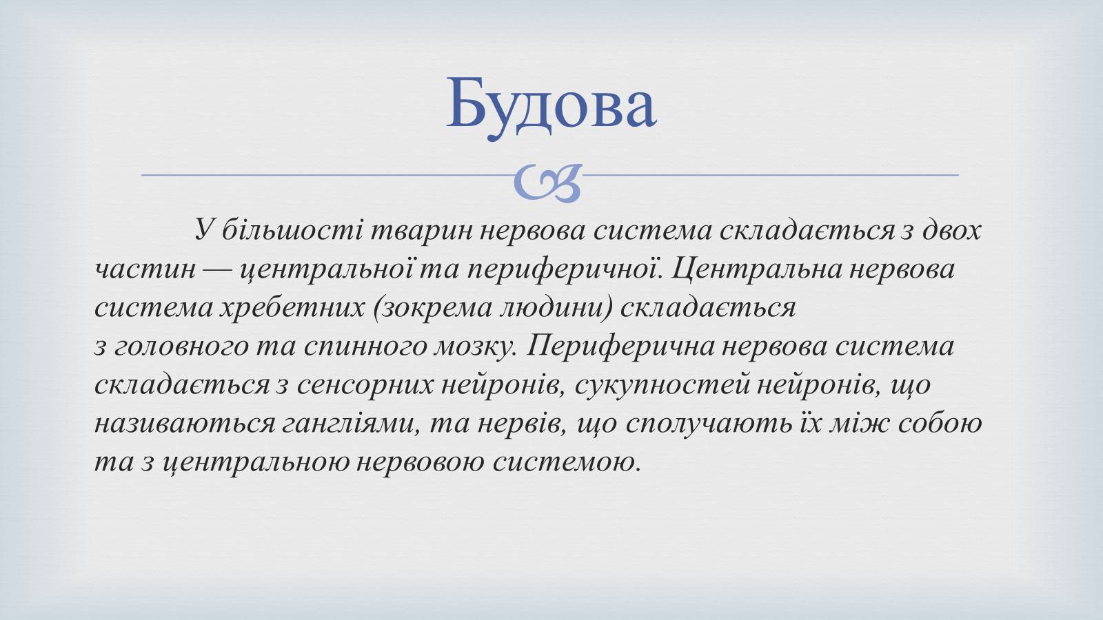 Презентація на тему «Системи людського організму» - Слайд #14 Презентація на тему «Системи людського організму» - Слайд #14
