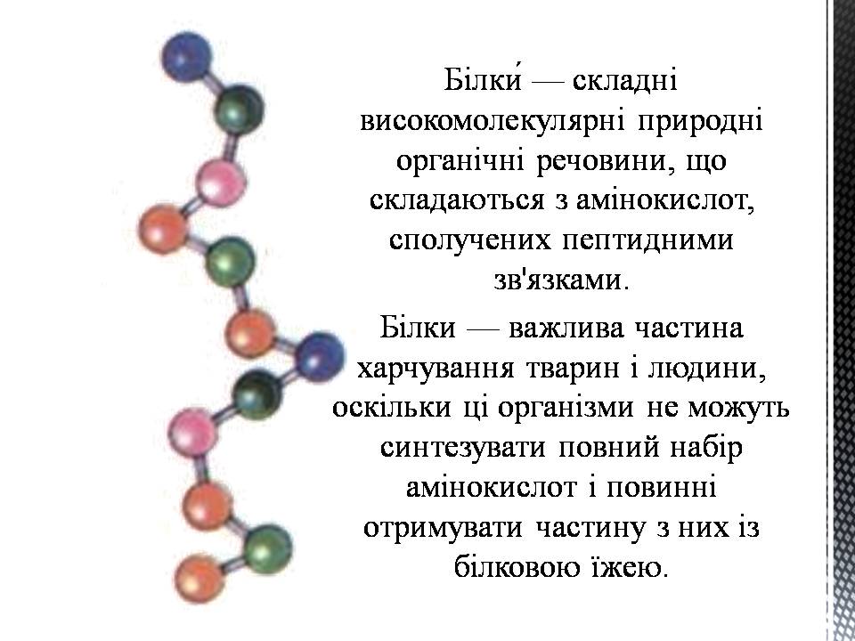 Презентація на тему «Білки» (варіант 13) - Слайд #2 Презентація на тему «Білки» (варіант 13) - Слайд #2
