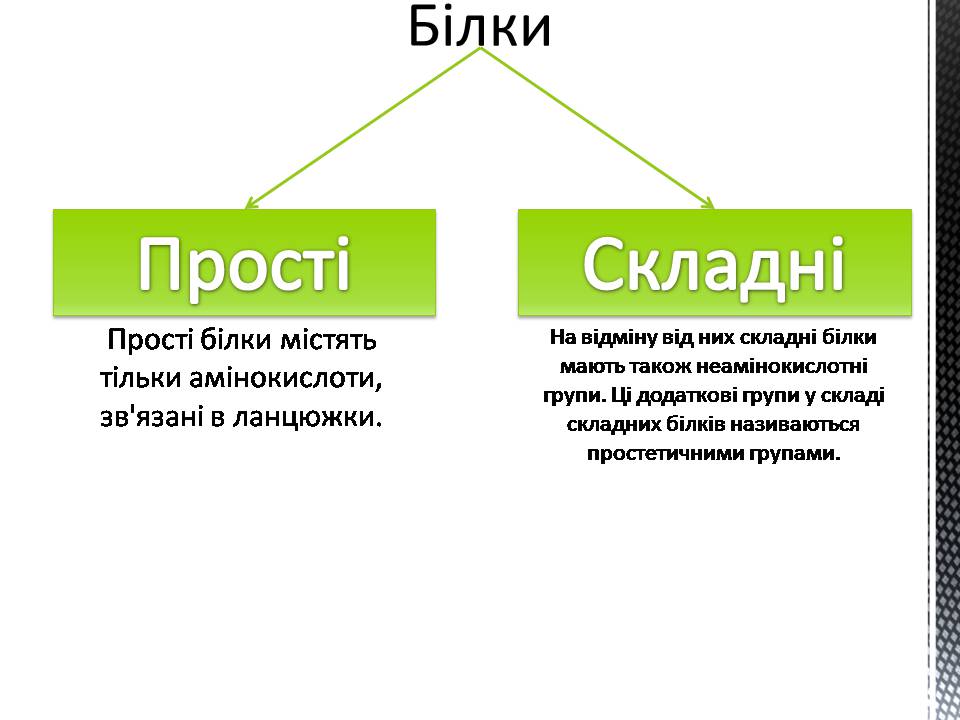 Презентація на тему «Білки» (варіант 13) - Слайд #7 Презентація на тему «Білки» (варіант 13) - Слайд #7