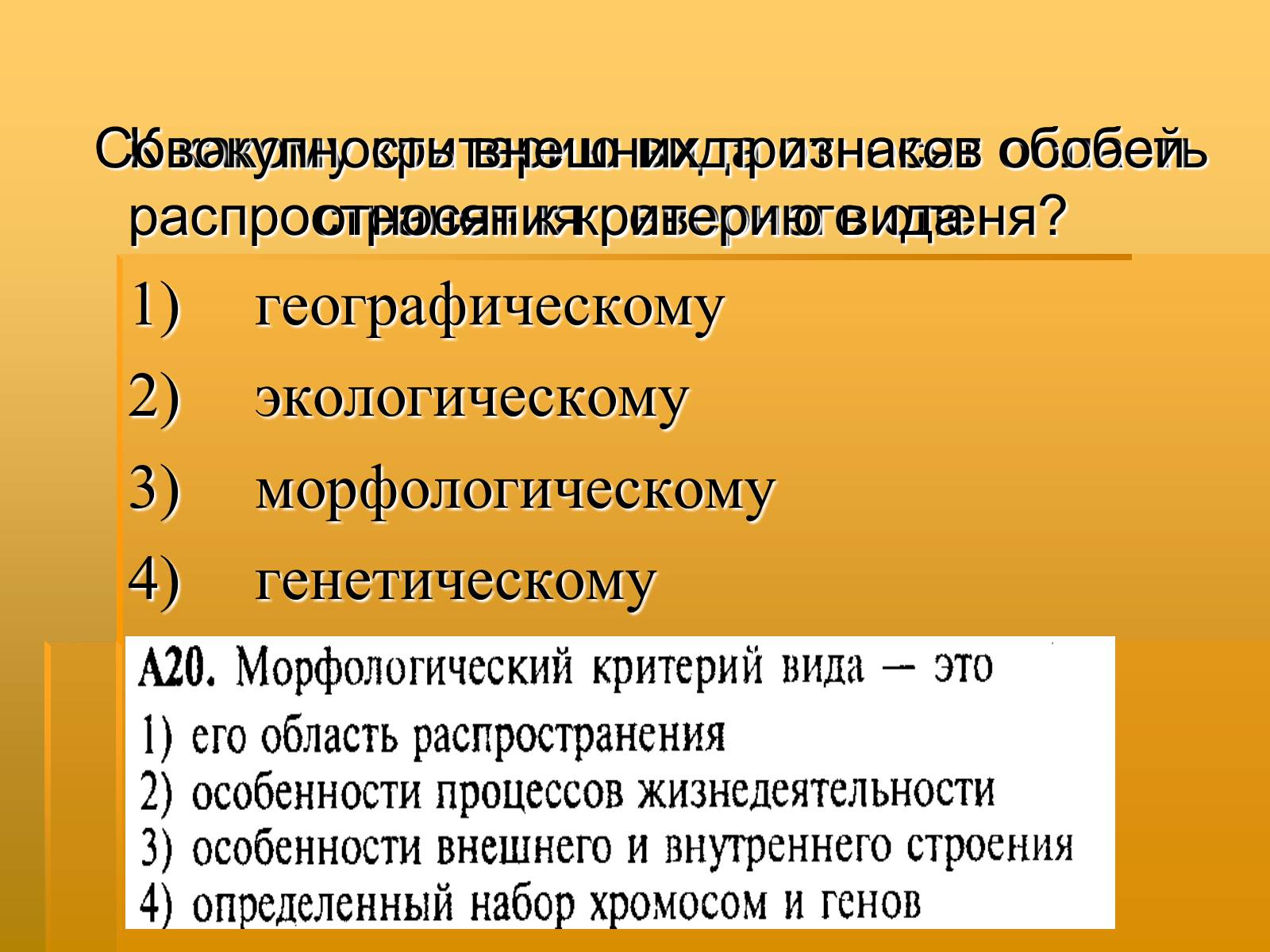 Презентація на тему «Вид. Критерии вида» - Слайд #28 Презентація на тему «Вид. Критерии вида» - Слайд #28