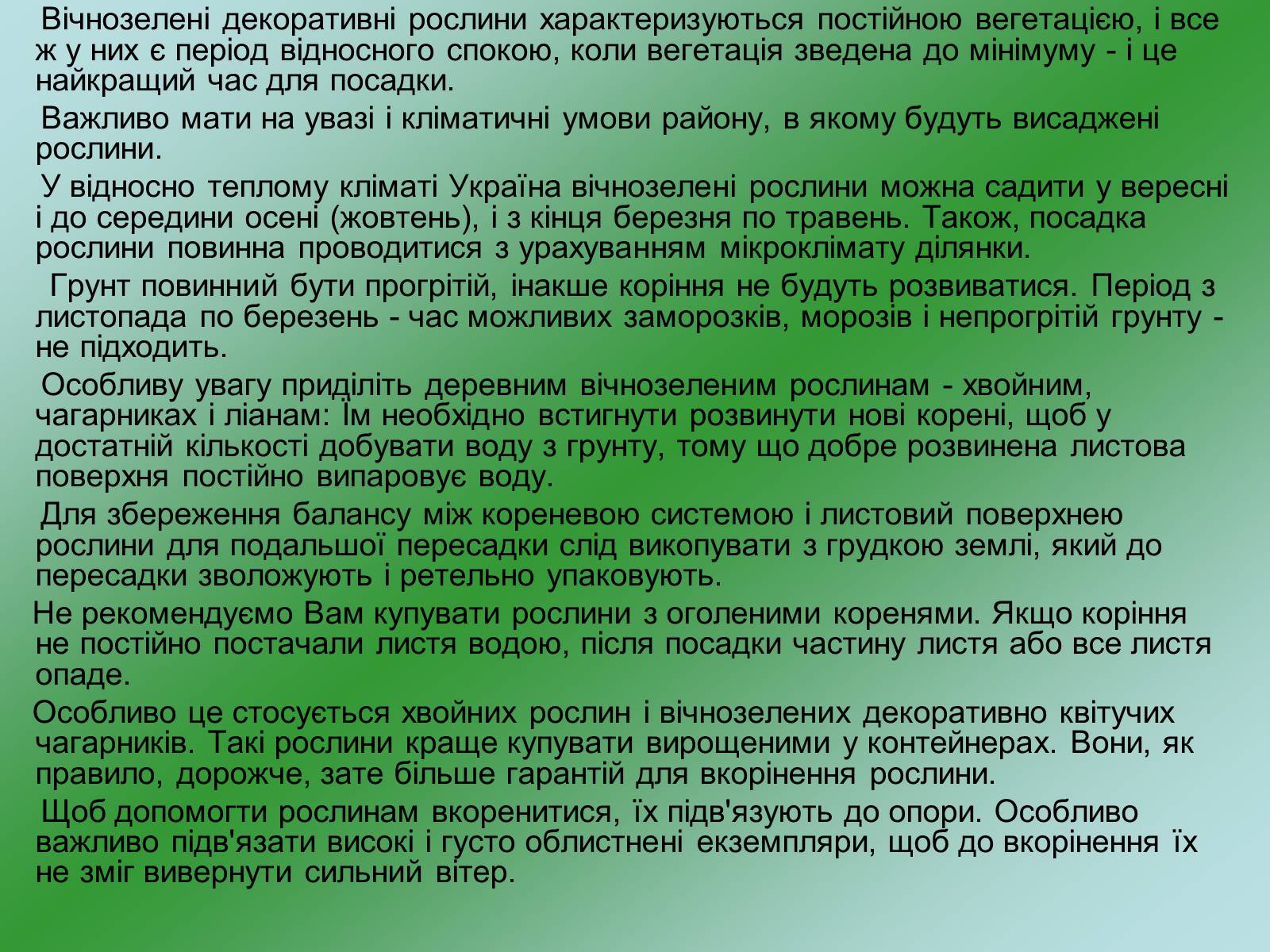 Презентація на тему «Декоративні та вічнозелені кущі та дерева» - Слайд #26 Презентація на тему «Декоративні та вічнозелені кущі та дерева» - Слайд #26