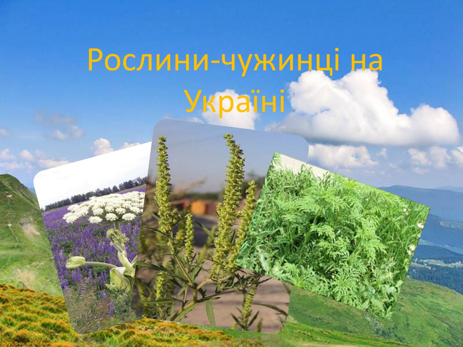 Презентація на тему «Рослини-чужинці на Україні» - Слайд #1 Презентація на тему «Рослини-чужинці на Україні» - Слайд #1