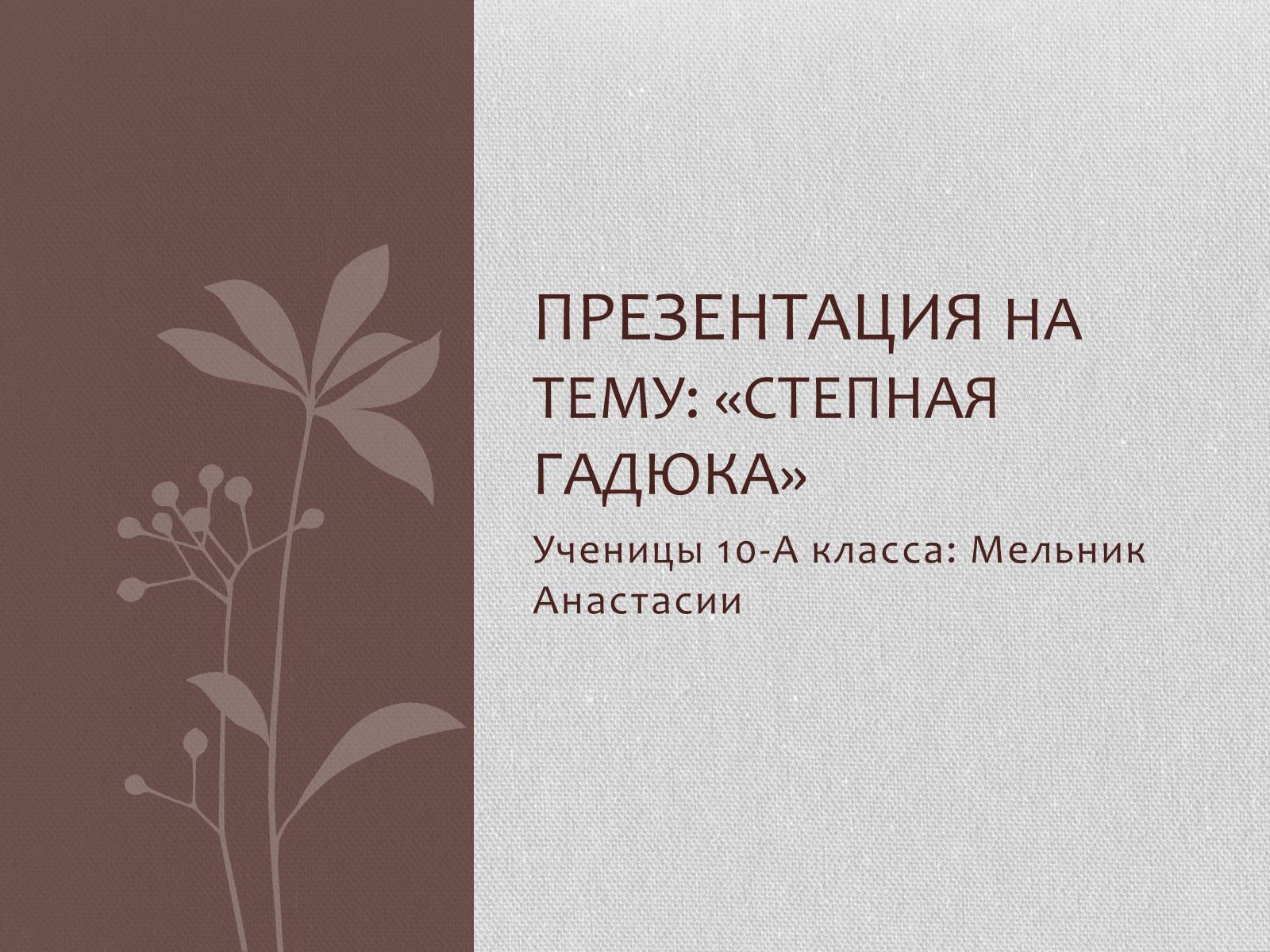 Презентація на тему «Степная гадюка» - Слайд #1 Презентація на тему «Степная гадюка» - Слайд #1