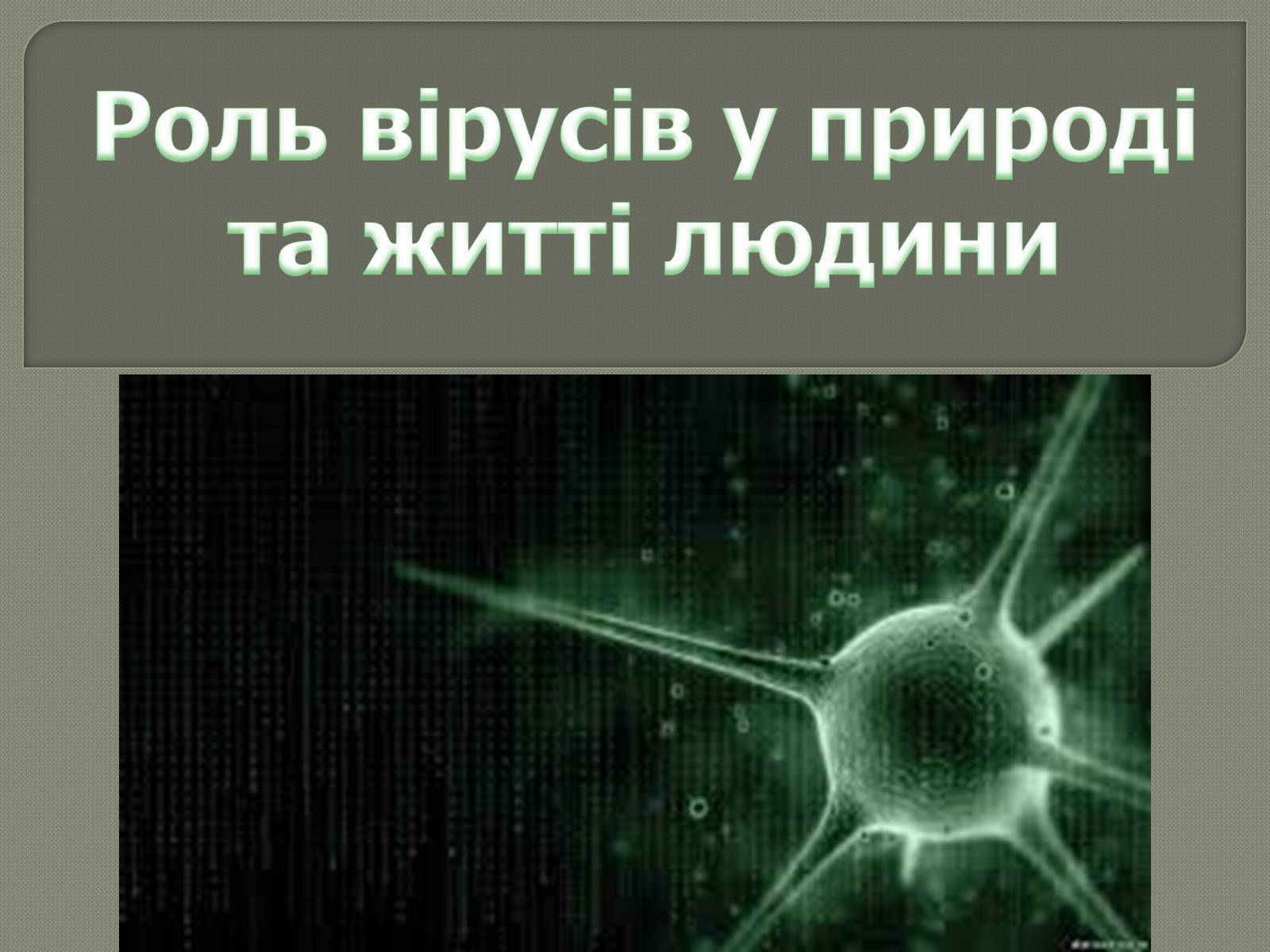 Презентація на тему «Роль вірусів у природі та житті людини» - Слайд #1 Презентація на тему «Роль вірусів у природі та житті людини» - Слайд #1