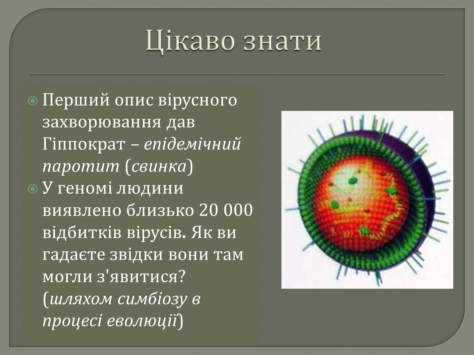 Презентація на тему «Роль вірусів у природі та житті людини» - Слайд #11 Презентація на тему «Роль вірусів у природі та житті людини» - Слайд #11