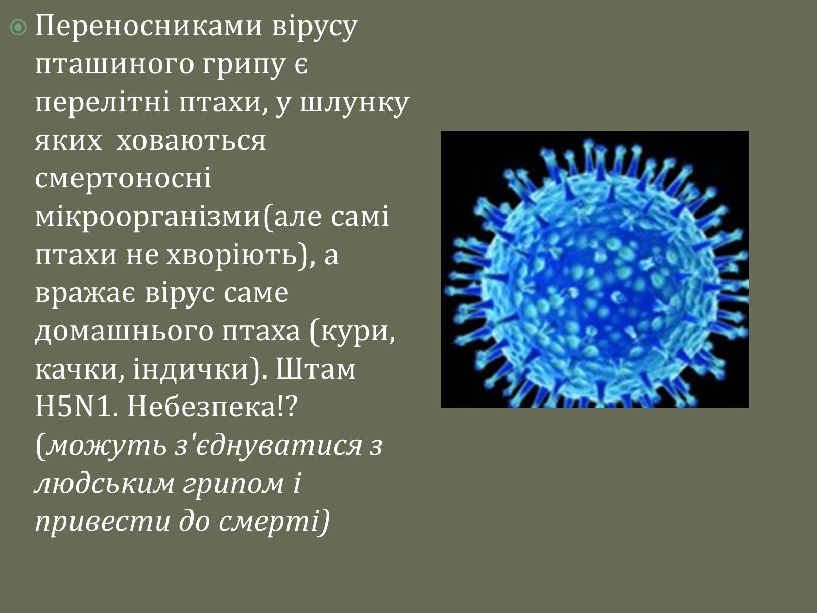 Презентація на тему «Роль вірусів у природі та житті людини» - Слайд #12 Презентація на тему «Роль вірусів у природі та житті людини» - Слайд #12