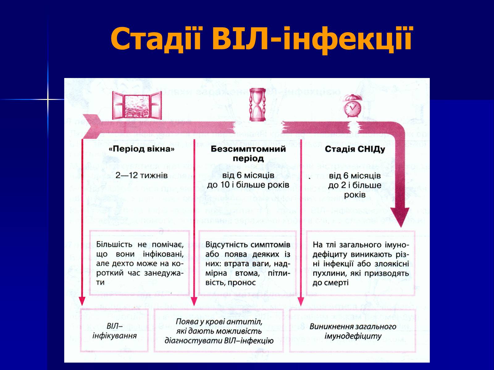Презентація на тему «Інфекційні захворювання» (варіант 7) - Слайд #43 Презентація на тему «Інфекційні захворювання» (варіант 7) - Слайд #43
