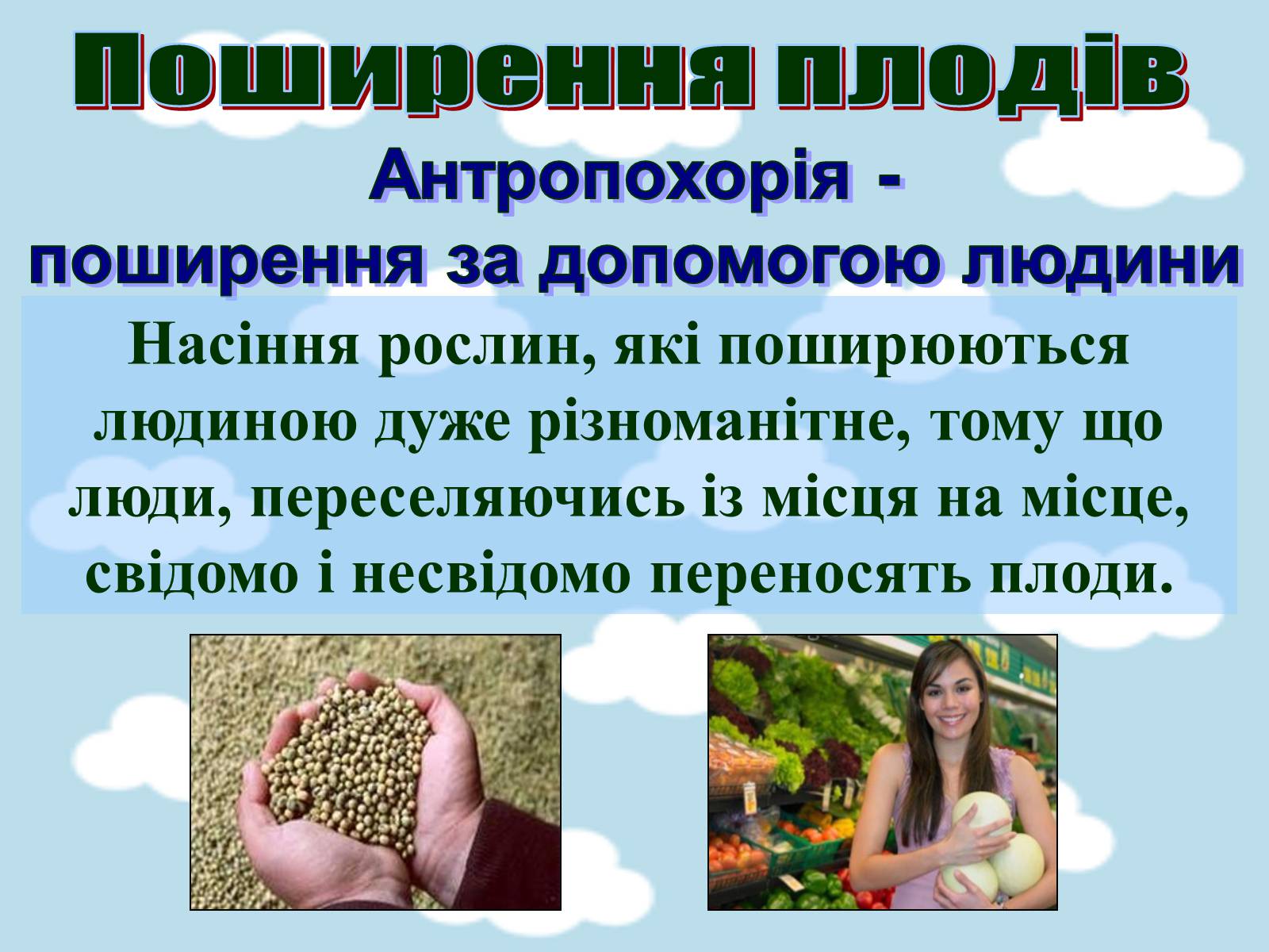 Презентація на тему «Поширення плодів» (варіант 1) - Слайд #14 Презентація на тему «Поширення плодів» (варіант 1) - Слайд #14