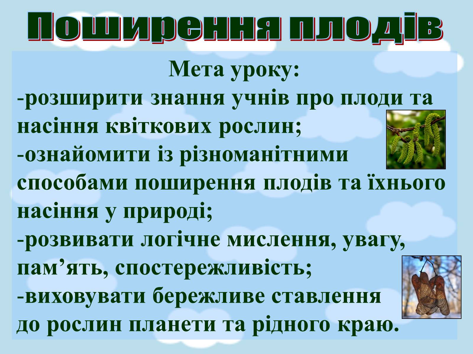Презентація на тему «Поширення плодів» (варіант 1) - Слайд #2 Презентація на тему «Поширення плодів» (варіант 1) - Слайд #2