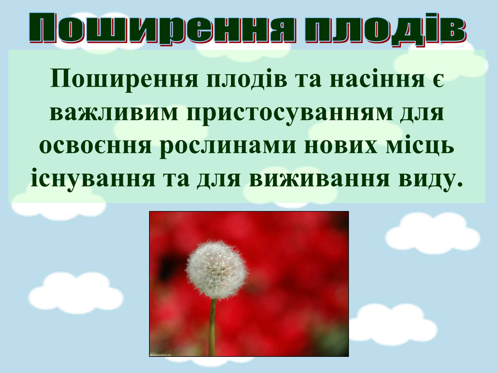 Презентація на тему «Поширення плодів» (варіант 1) - Слайд #20 Презентація на тему «Поширення плодів» (варіант 1) - Слайд #20