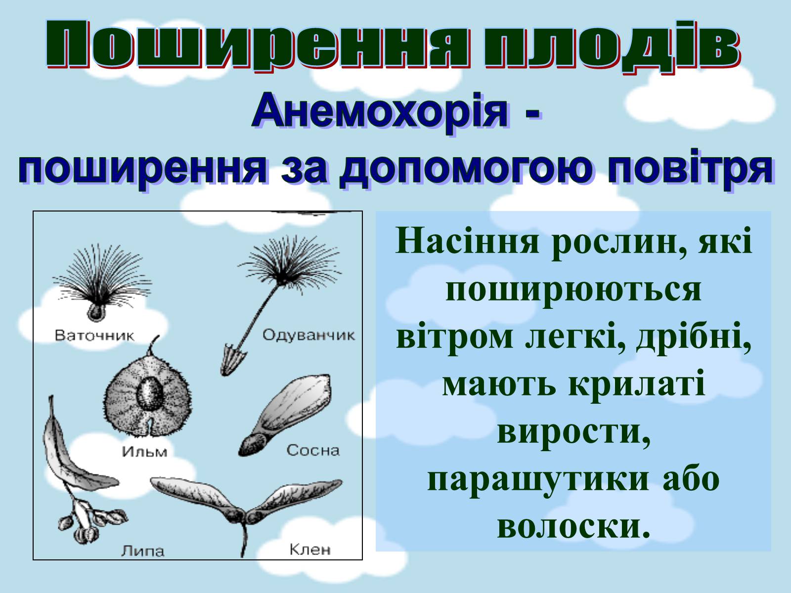Презентація на тему «Поширення плодів» (варіант 1) - Слайд #3 Презентація на тему «Поширення плодів» (варіант 1) - Слайд #3