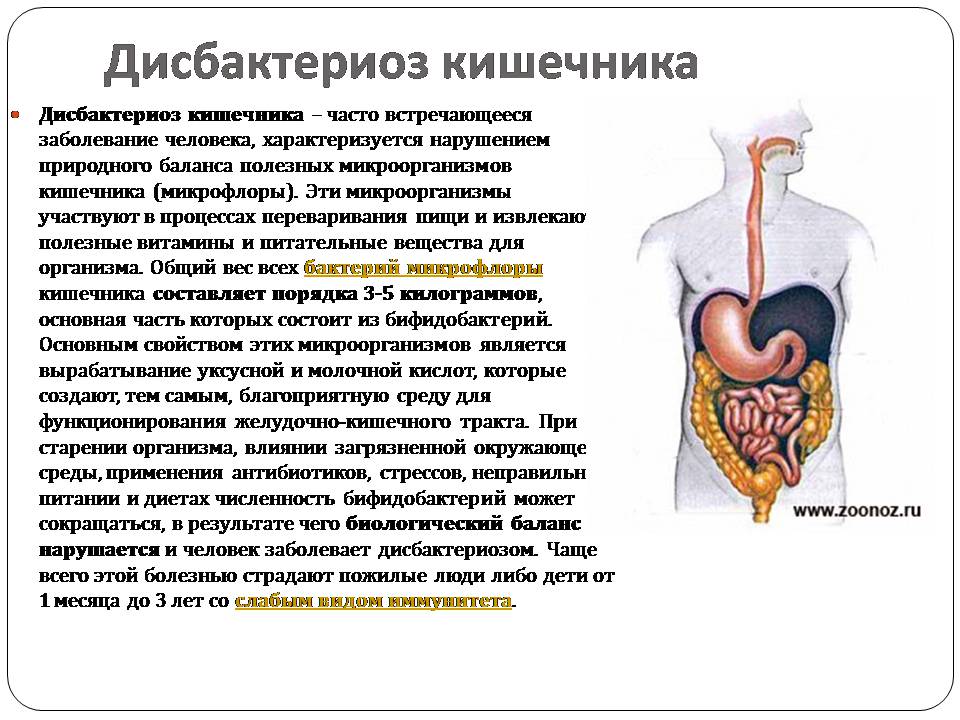 Презентація на тему «Болезни пищеварительной системы» - Слайд #2 Презентація на тему «Болезни пищеварительной системы» - Слайд #2