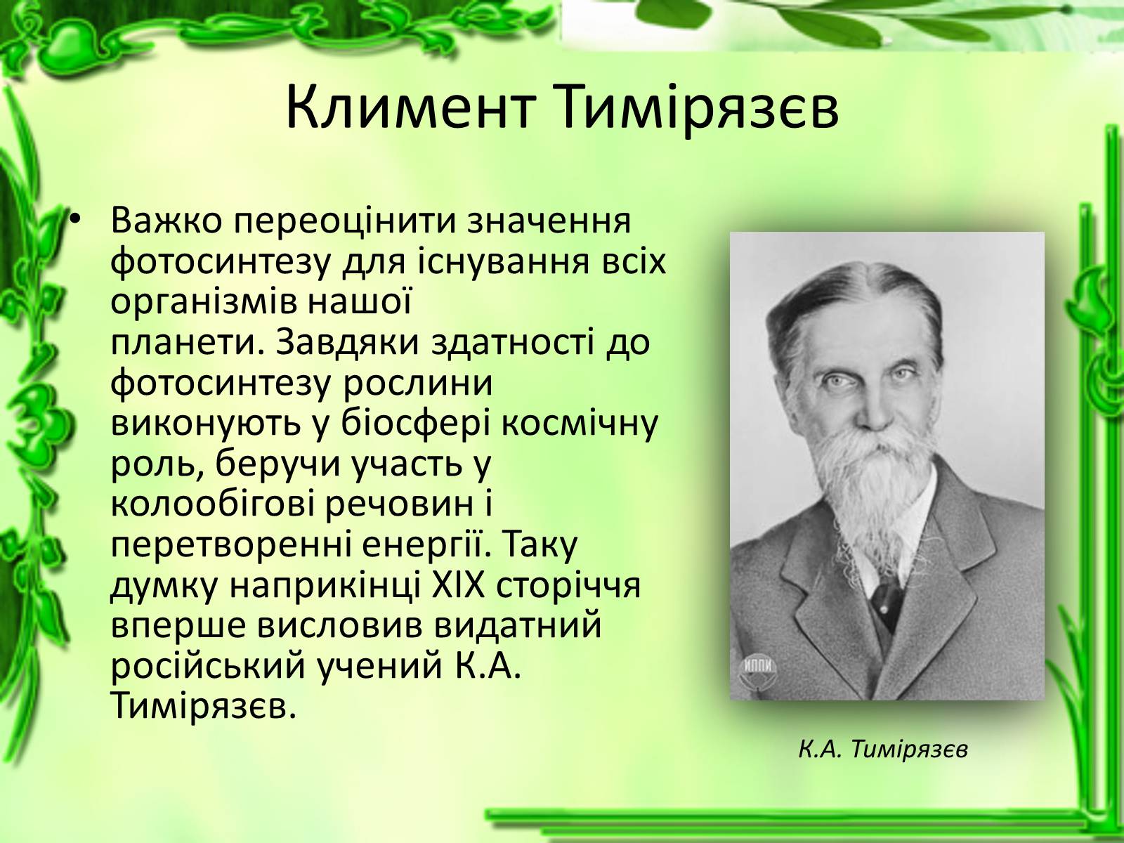 Презентація на тему «Живлення рослин. Фотосинтез» - Слайд #12 Презентація на тему «Живлення рослин. Фотосинтез» - Слайд #12