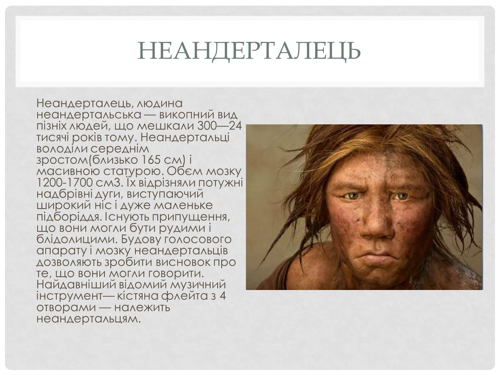 Презентація на тему «Походження людини» (варіант 1) - Слайд #15 Презентація на тему «Походження людини» (варіант 1) - Слайд #15