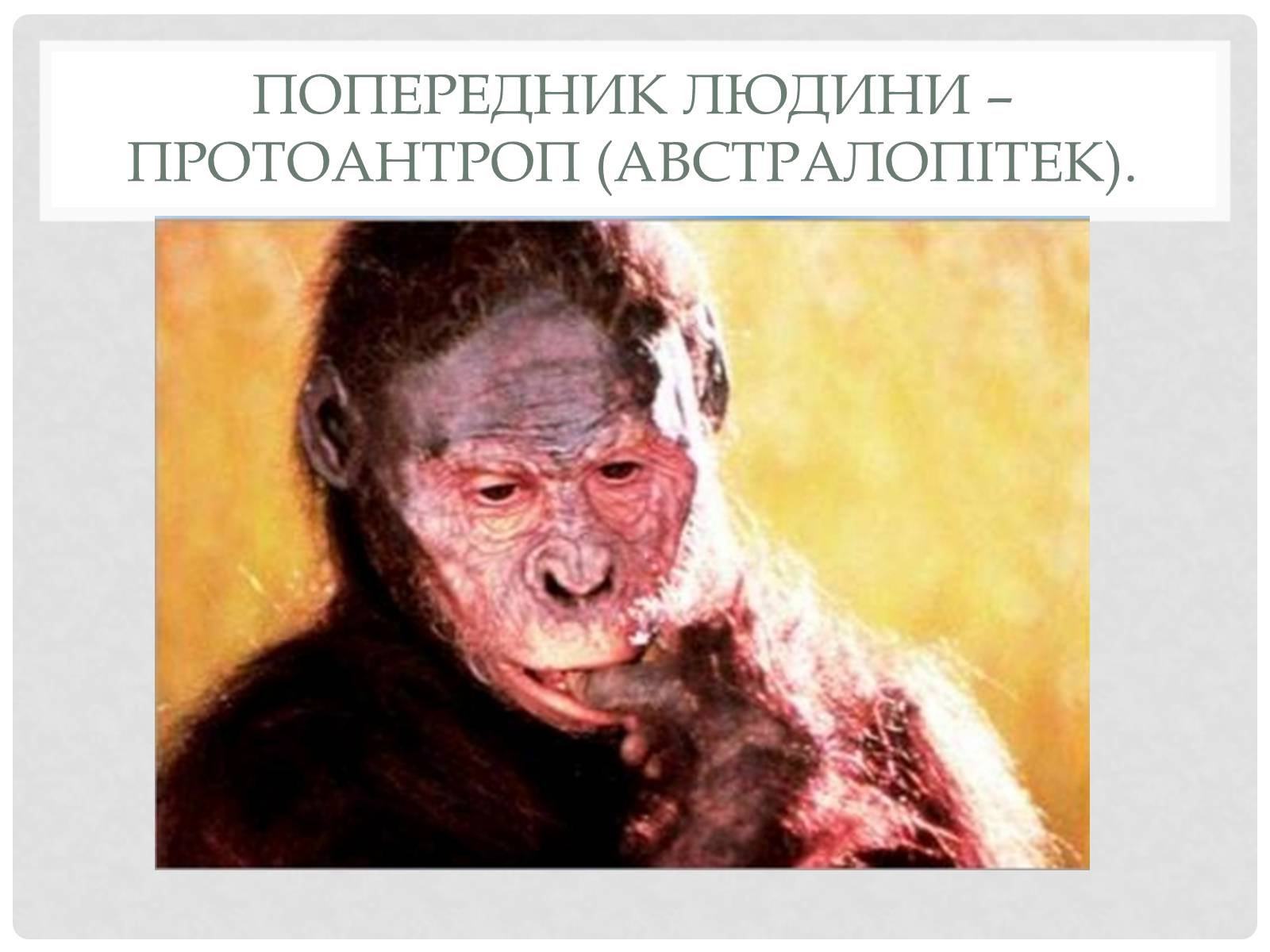Презентація на тему «Походження людини» (варіант 1) - Слайд #7 Презентація на тему «Походження людини» (варіант 1) - Слайд #7