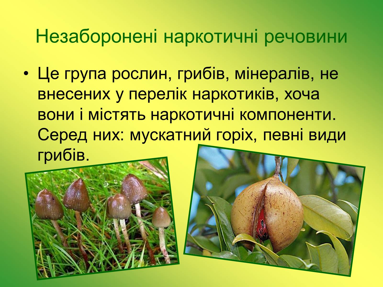 Презентація на тему «Наркотичні речовини» (варіант 1) - Слайд #22 Презентація на тему «Наркотичні речовини» (варіант 1) - Слайд #22