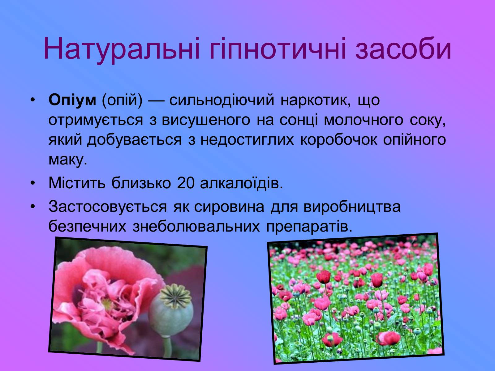 Презентація на тему «Наркотичні речовини» (варіант 1) - Слайд #6 Презентація на тему «Наркотичні речовини» (варіант 1) - Слайд #6
