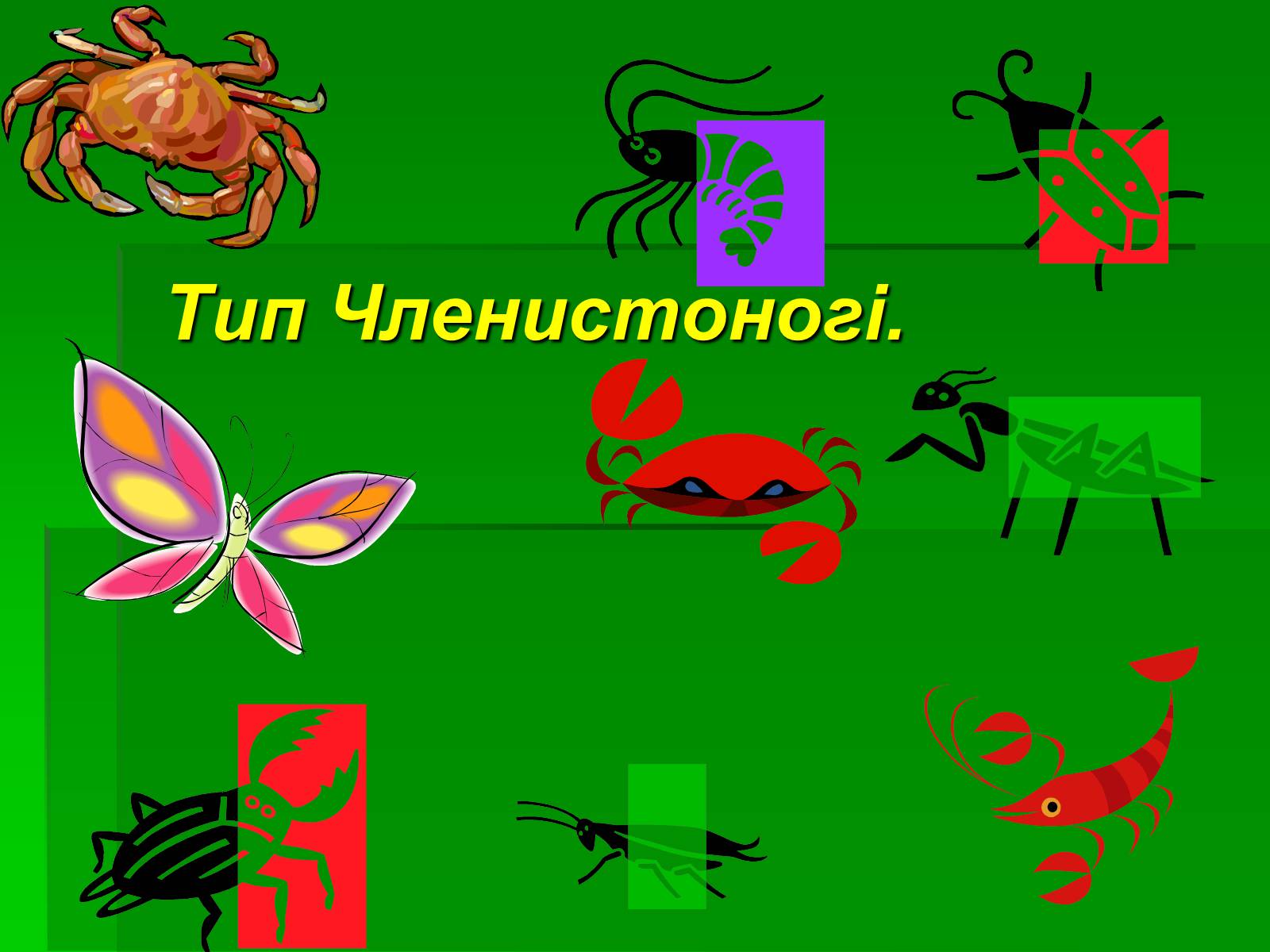 Презентація на тему «Тип Членистоногі» - Слайд #1 Презентація на тему «Тип Членистоногі» - Слайд #1