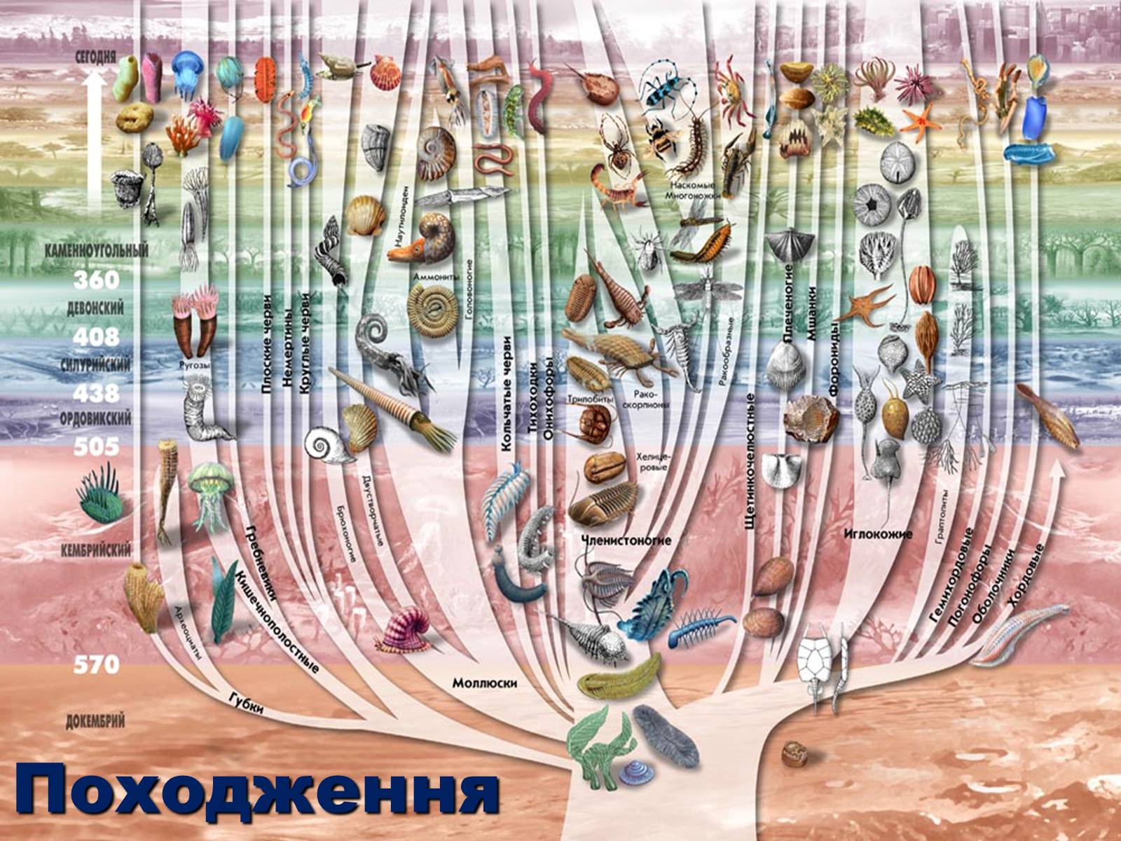 Презентація на тему «Тип Членистоногі» - Слайд #2 Презентація на тему «Тип Членистоногі» - Слайд #2