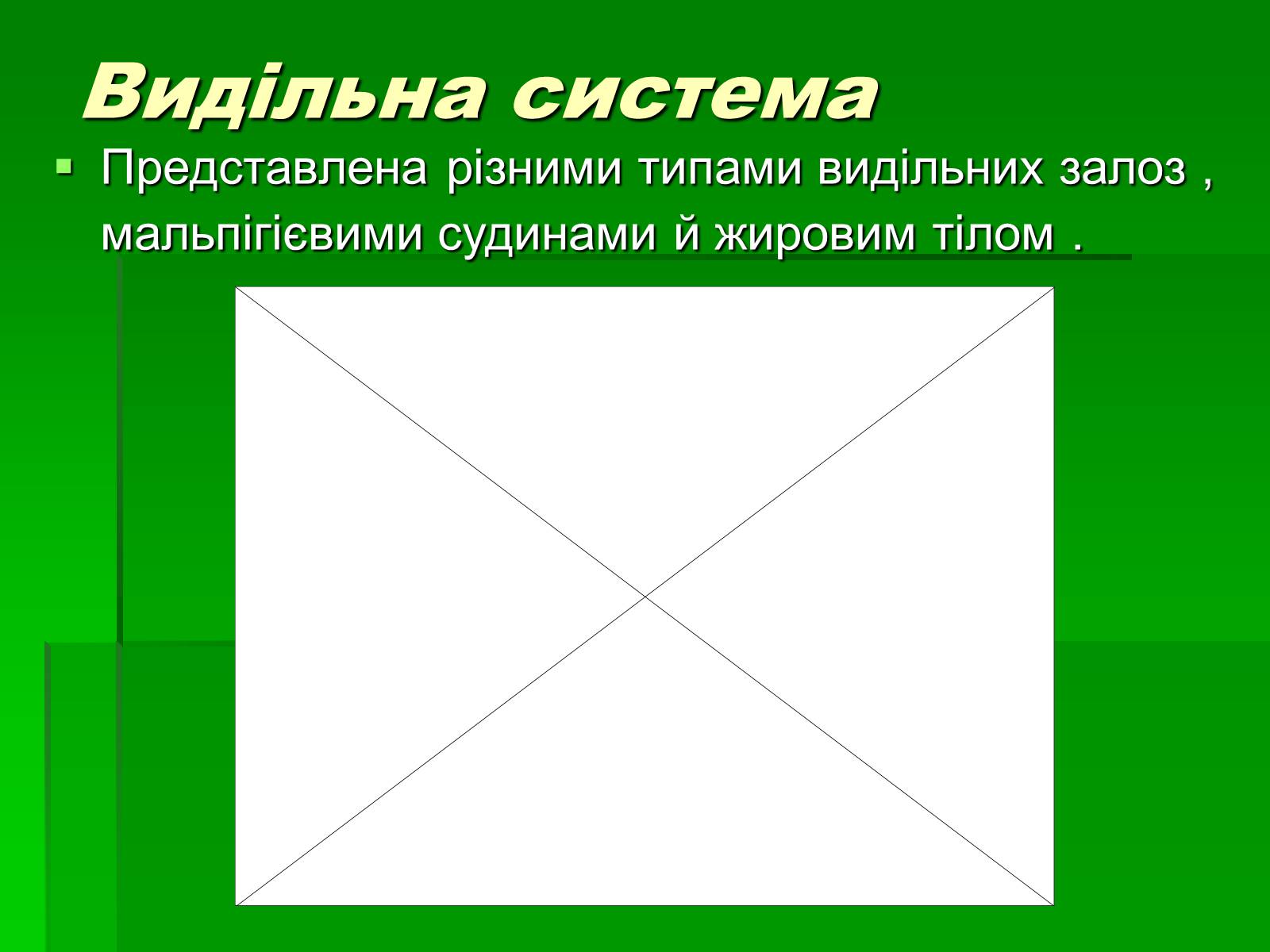 Презентація на тему «Тип Членистоногі» - Слайд #20 Презентація на тему «Тип Членистоногі» - Слайд #20