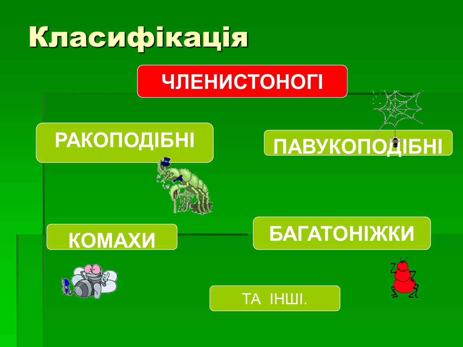 Презентація на тему «Тип Членистоногі» - Слайд #4 Презентація на тему «Тип Членистоногі» - Слайд #4