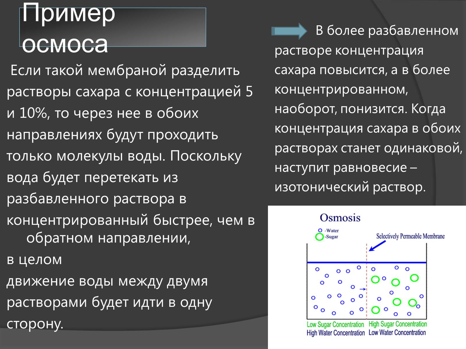 Презентація на тему «Осмос» - Слайд #3 Презентація на тему «Осмос» - Слайд #3