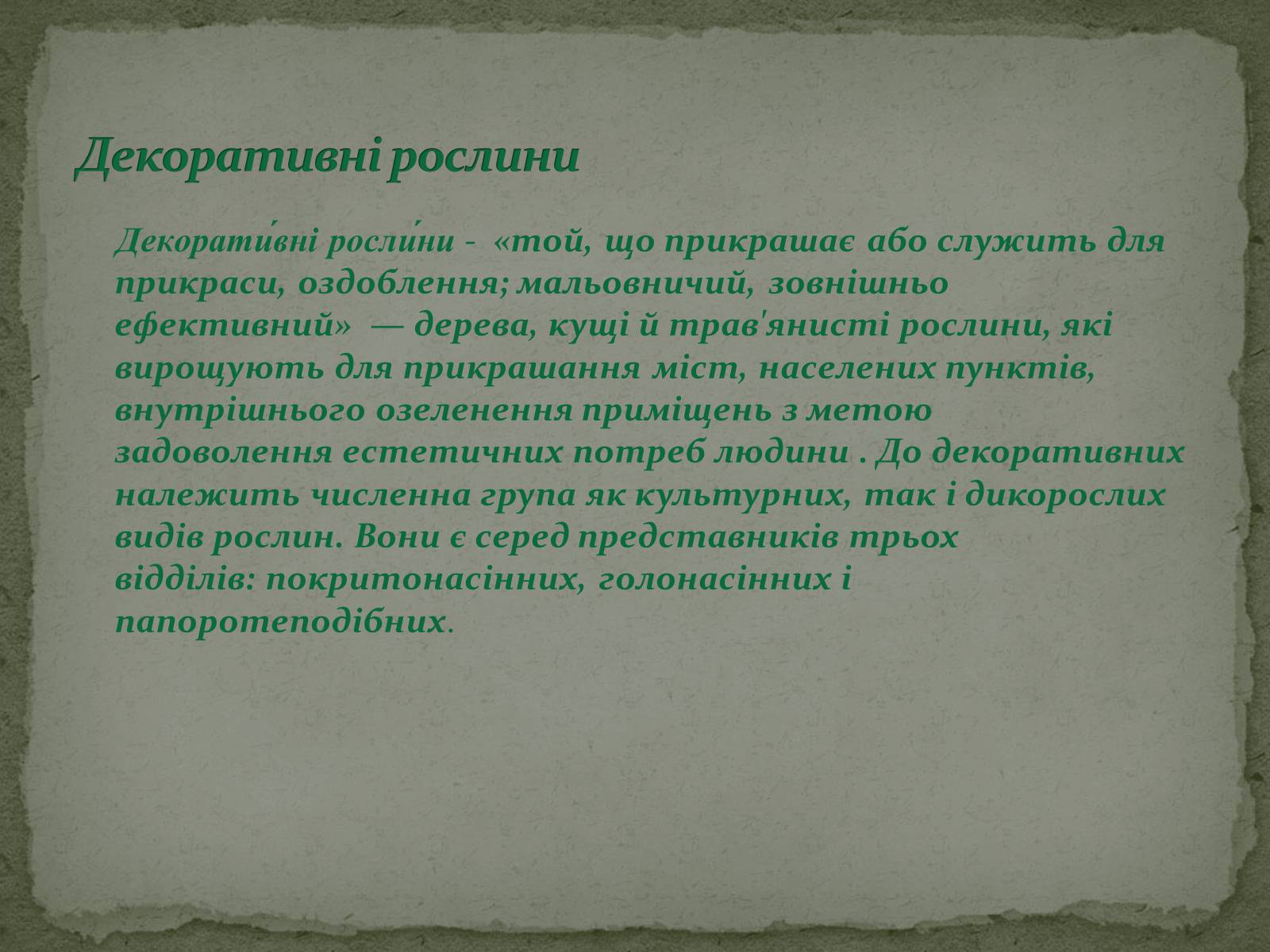 Презентація на тему «Декоративні рослини» - Слайд #3 Презентація на тему «Декоративні рослини» - Слайд #3