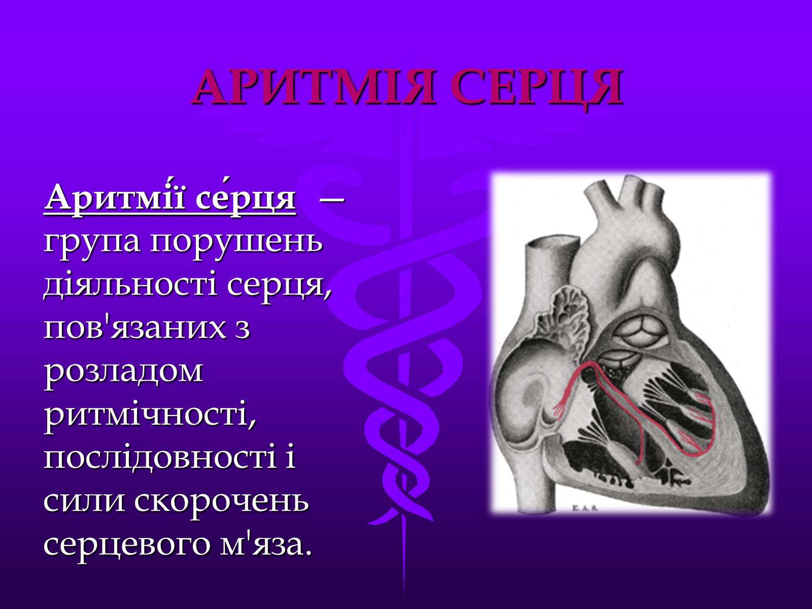 Презентація на тему «Хвороби серцево-судинної системи» (варіант 3) - Слайд #9 Презентація на тему «Хвороби серцево-судинної системи» (варіант 3) - Слайд #9