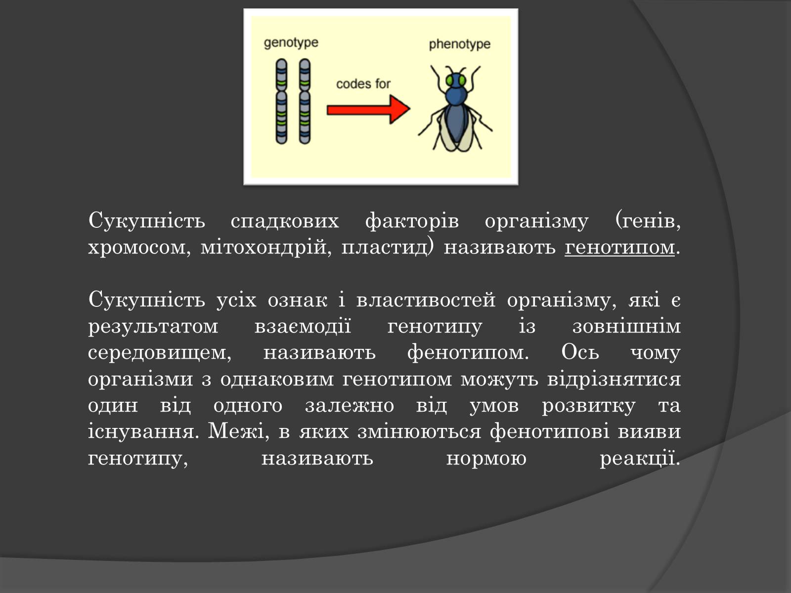 Презентація на тему «Вплив Генотипу і факторів середовища на тварин» - Слайд #10 Презентація на тему «Вплив Генотипу і факторів середовища на тварин» - Слайд #10