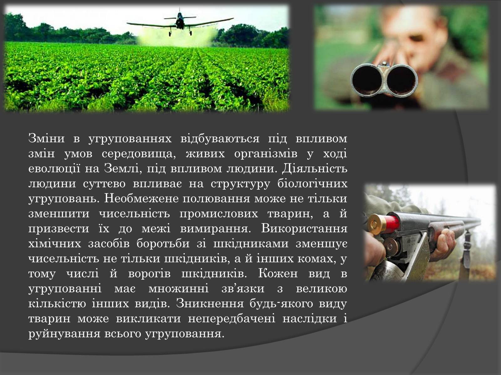 Презентація на тему «Вплив Генотипу і факторів середовища на тварин» - Слайд #4 Презентація на тему «Вплив Генотипу і факторів середовища на тварин» - Слайд #4