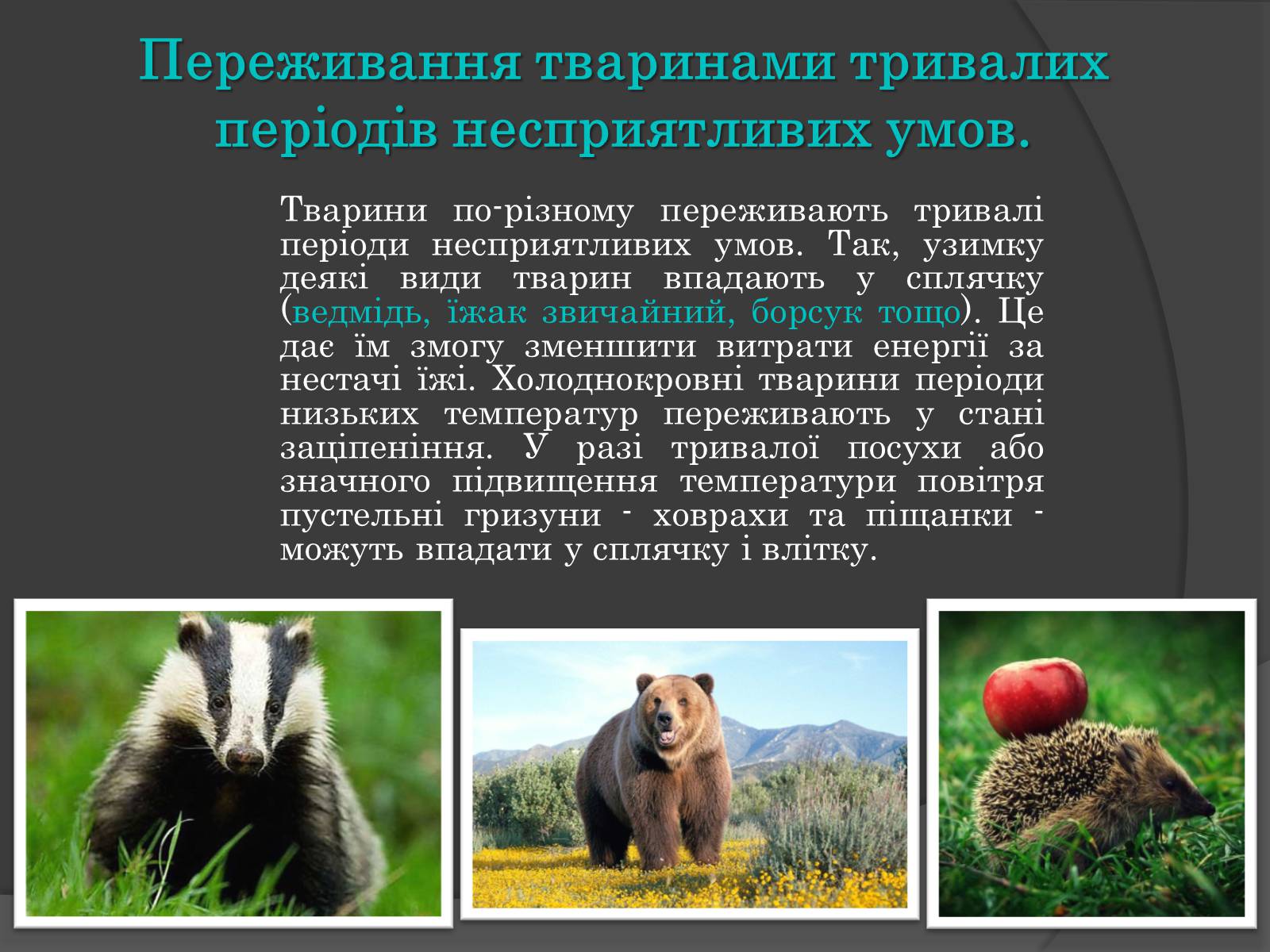 Презентація на тему «Вплив Генотипу і факторів середовища на тварин» - Слайд #9 Презентація на тему «Вплив Генотипу і факторів середовища на тварин» - Слайд #9
