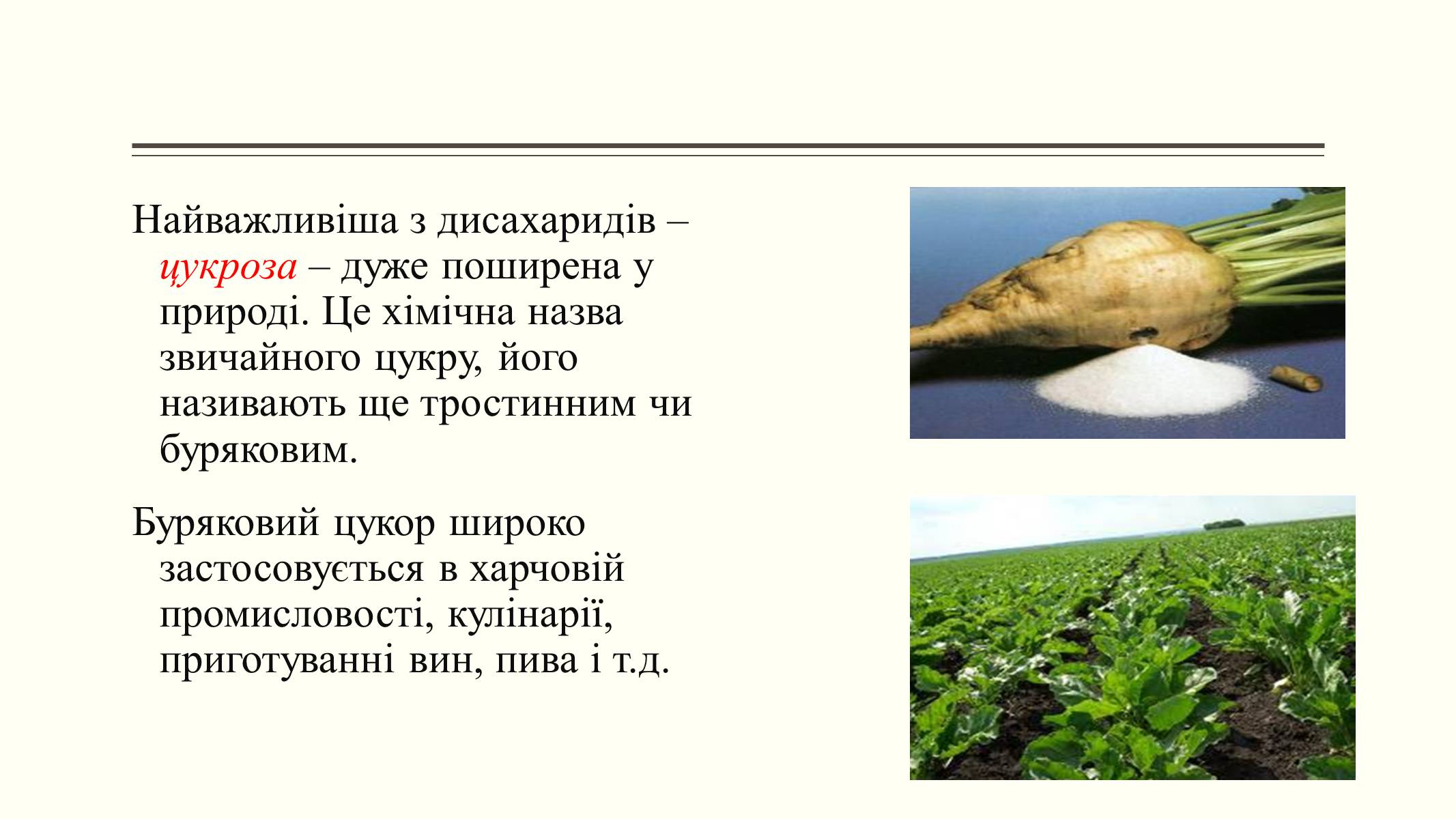 Презентація на тему «Вуглеводи як компоненти їжі, їх роль у житті людини» (варіант 6) - Слайд #15 Презентація на тему «Вуглеводи як компоненти їжі, їх роль у житті людини» (варіант 6) - Слайд #15