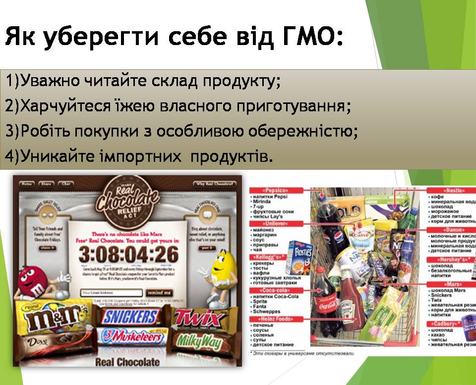 Презентація на тему «Генно модифіковані організми. Химерні організми» - Слайд #11