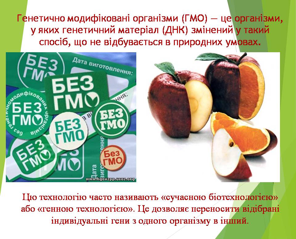 Презентація на тему «Генно модифіковані організми. Химерні організми» - Слайд #2