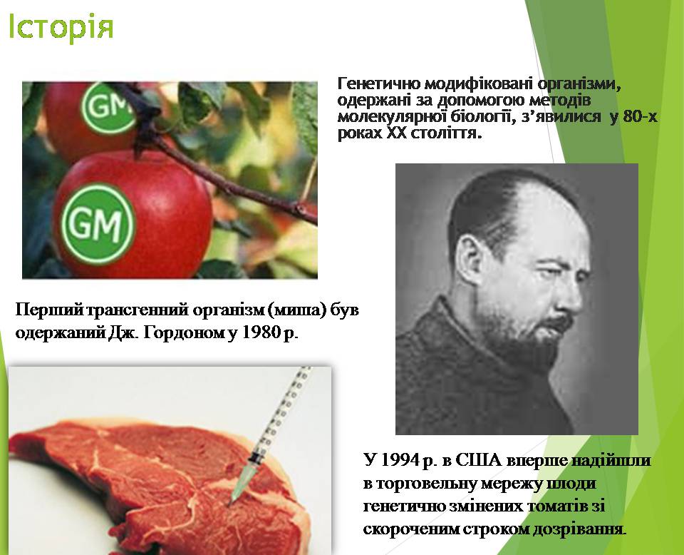 Презентація на тему «Генно модифіковані організми. Химерні організми» - Слайд #3