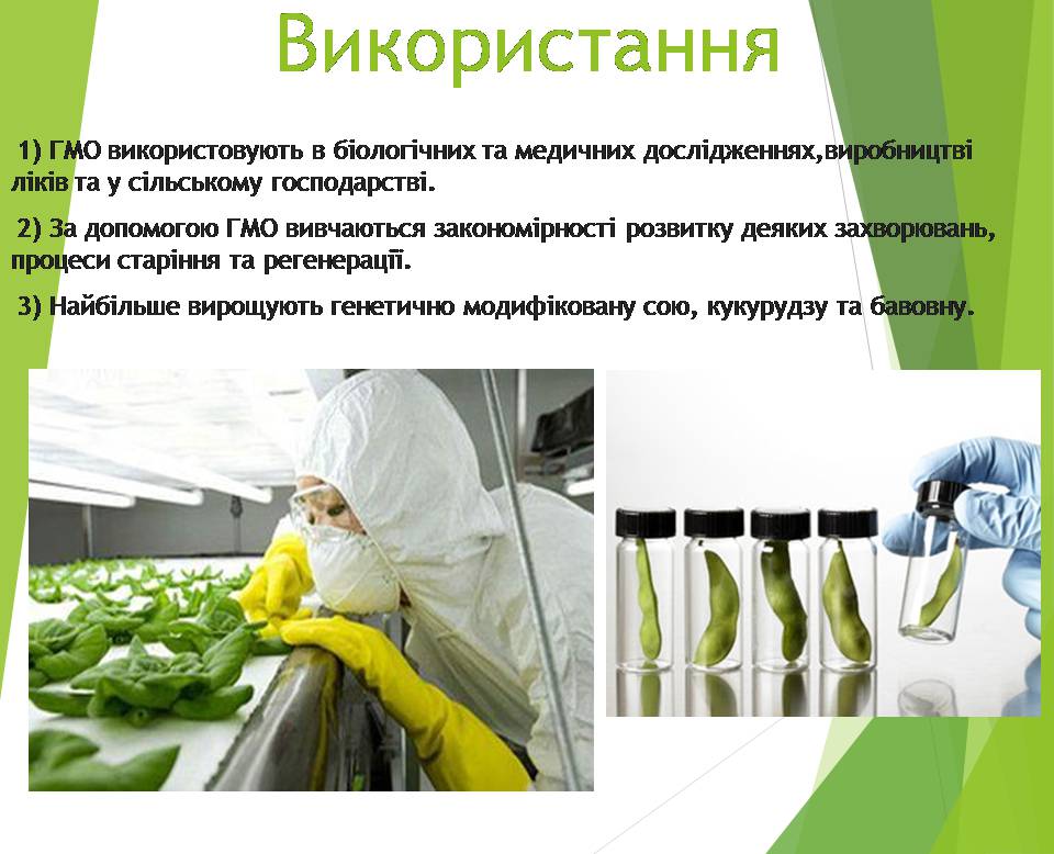 Презентація на тему «Генно модифіковані організми. Химерні організми» - Слайд #4